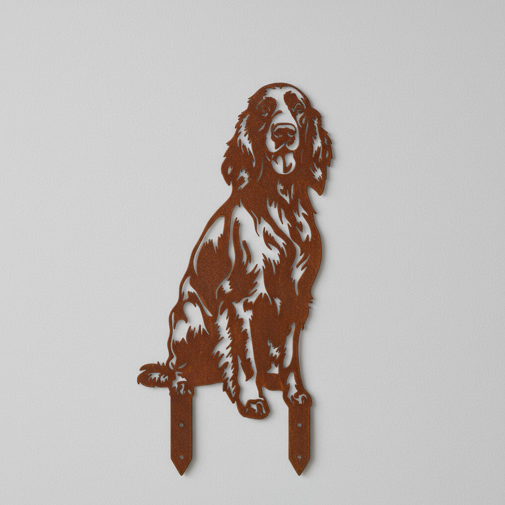 Ierse setter - Levensecht