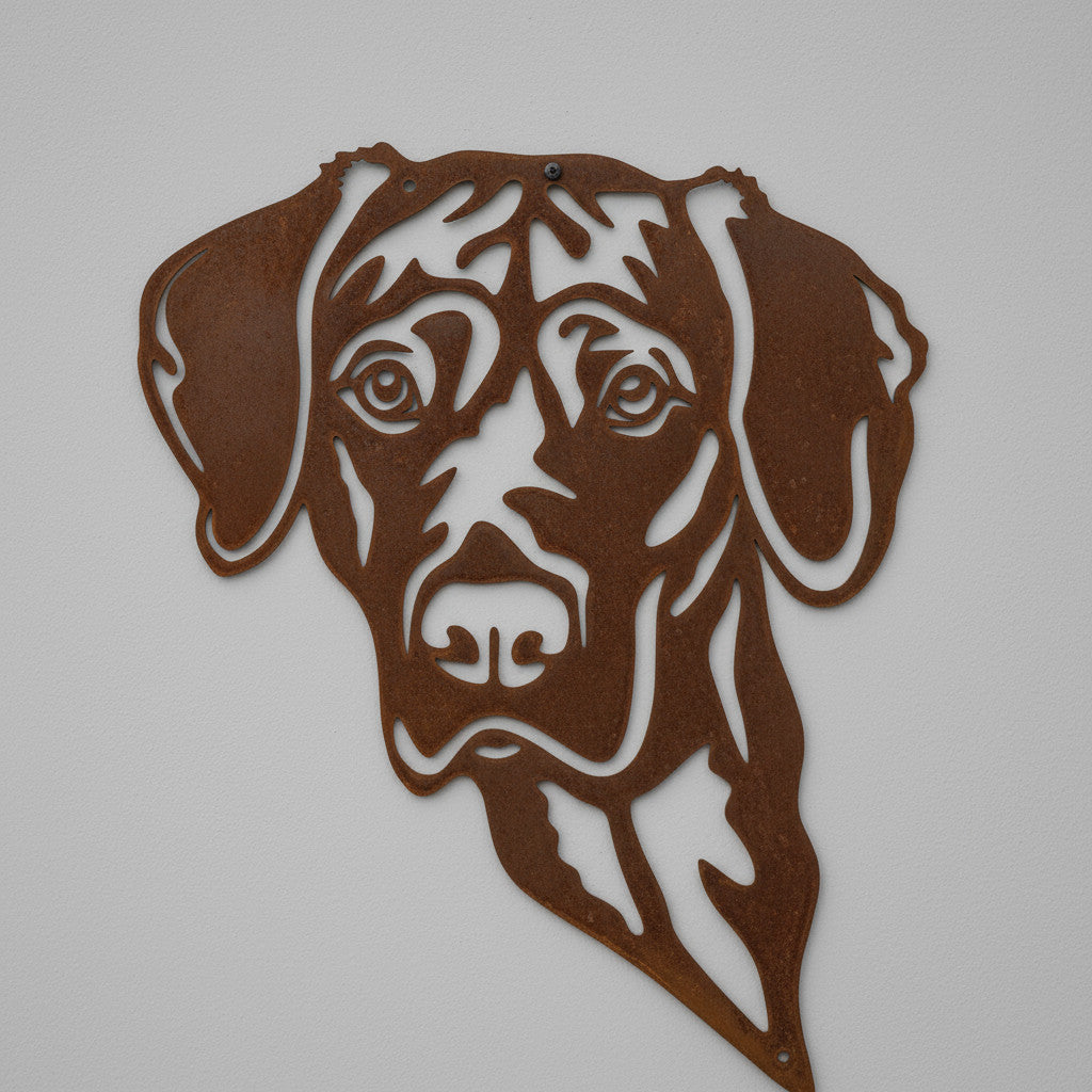 The Vizsla