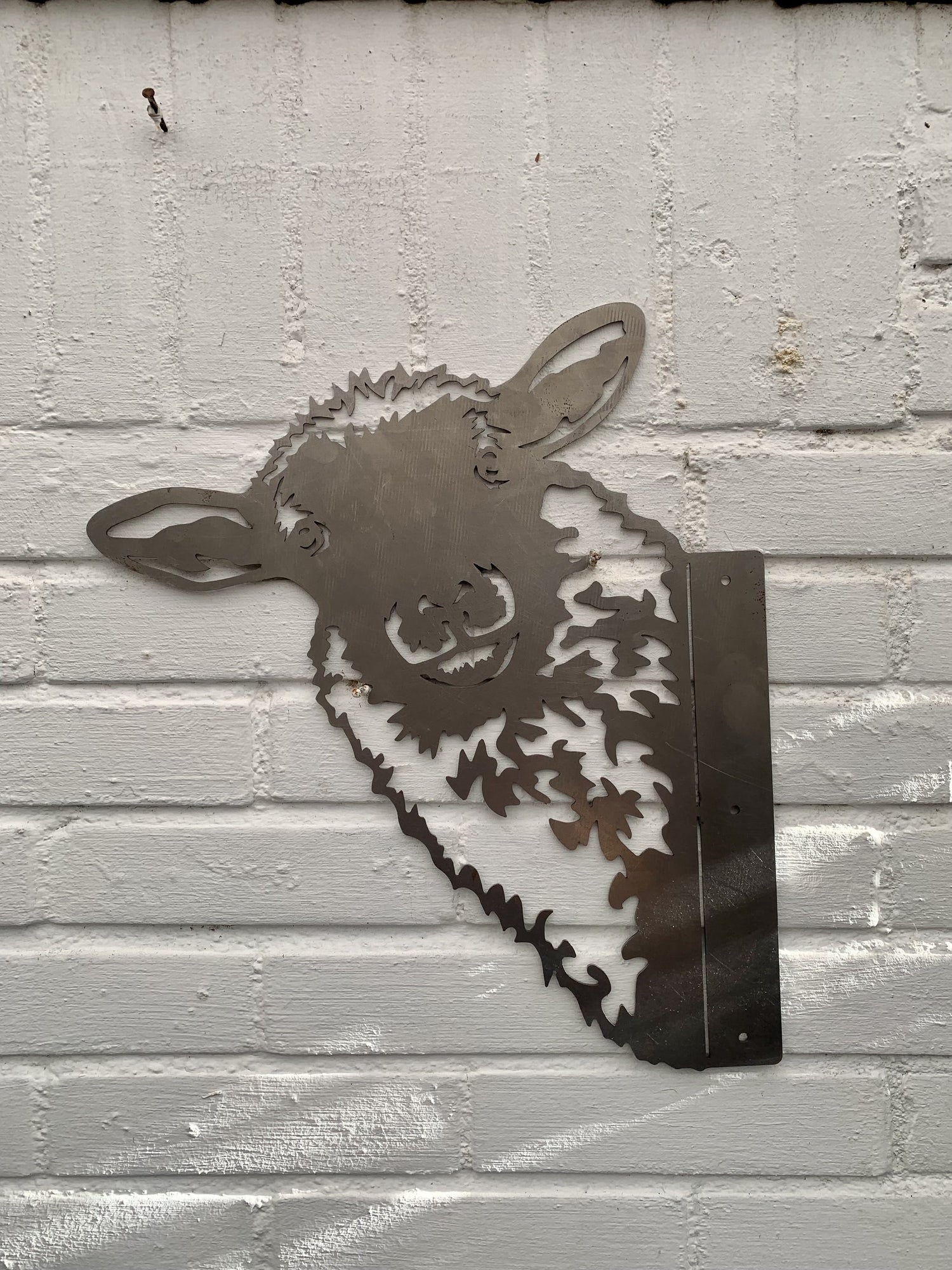 Schaap