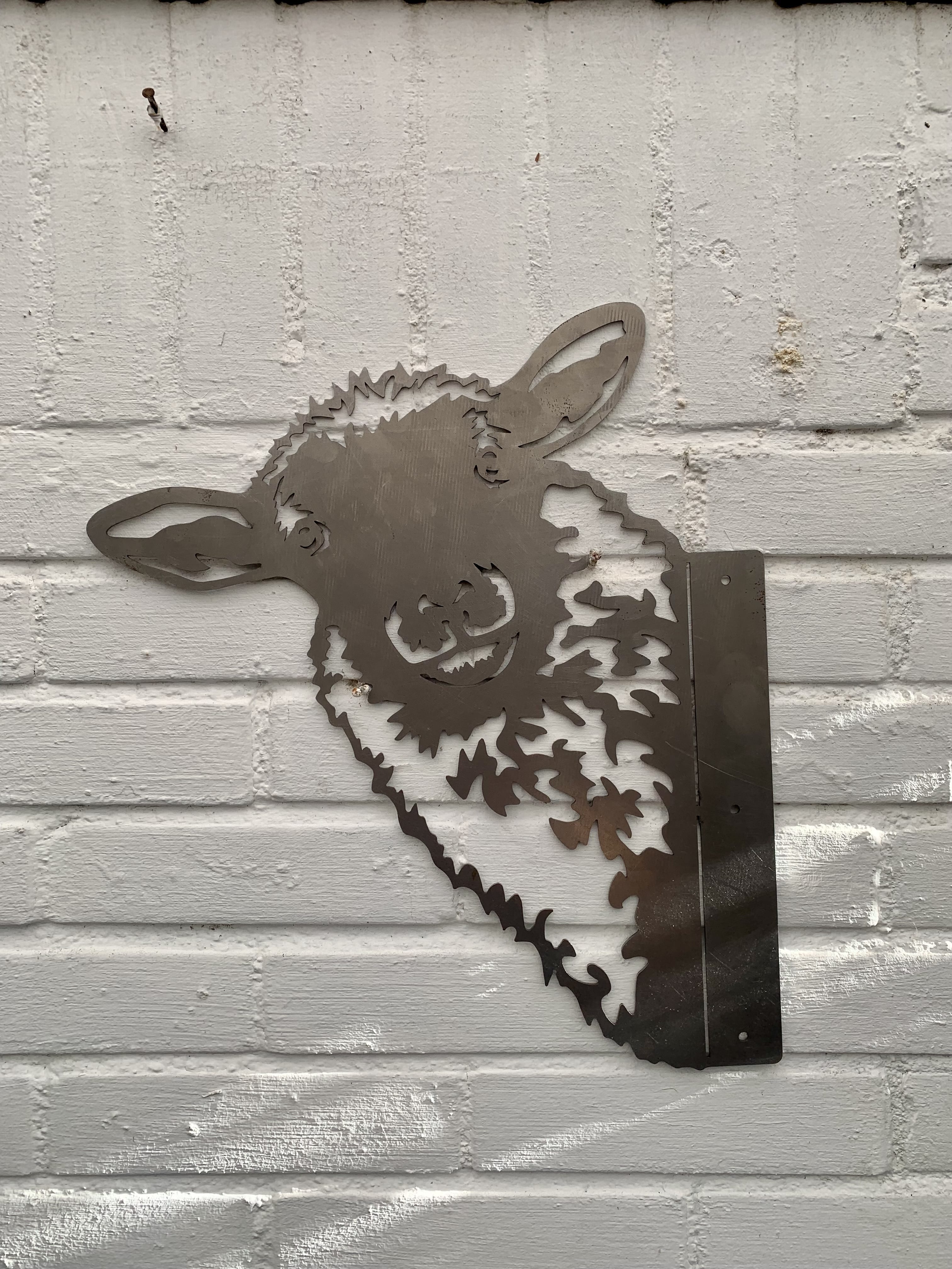 Schaap