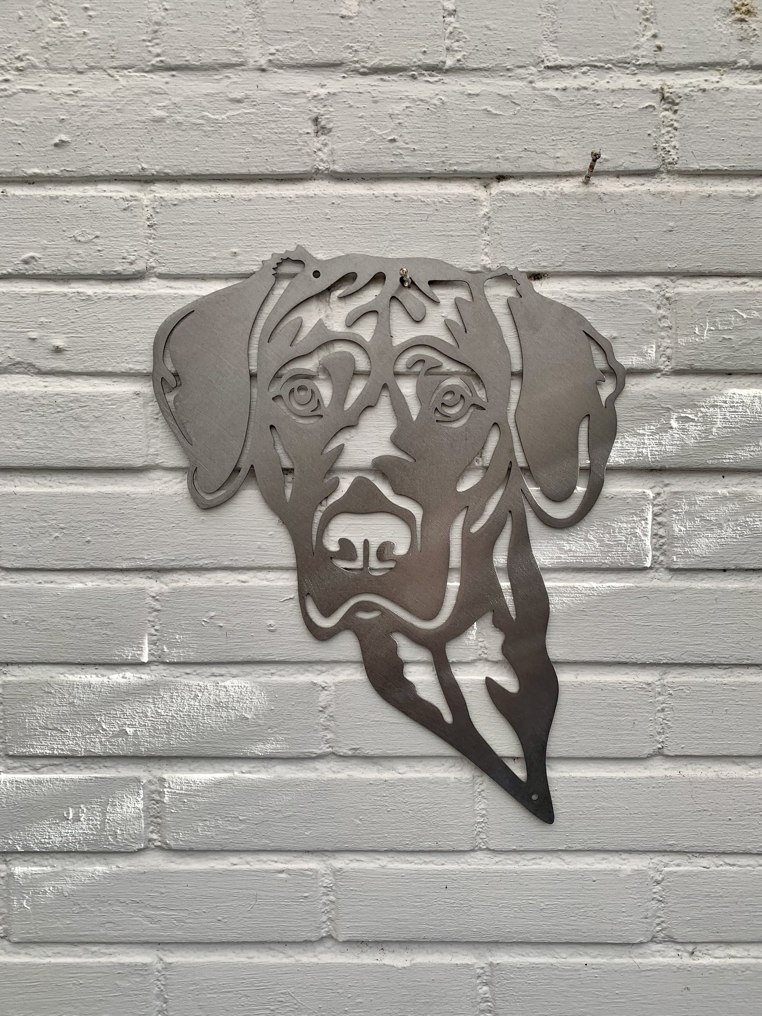 Vizsla