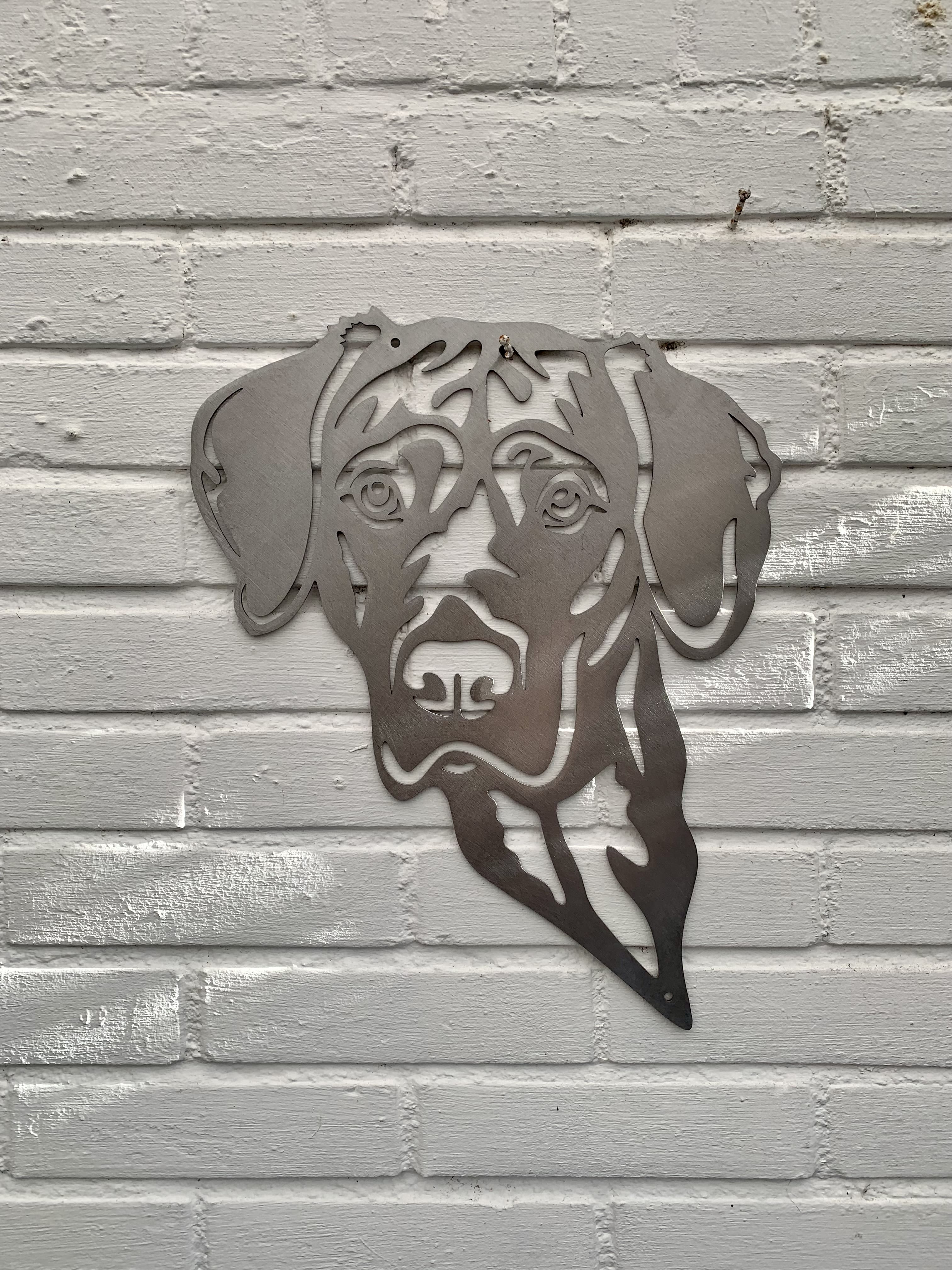Vizsla