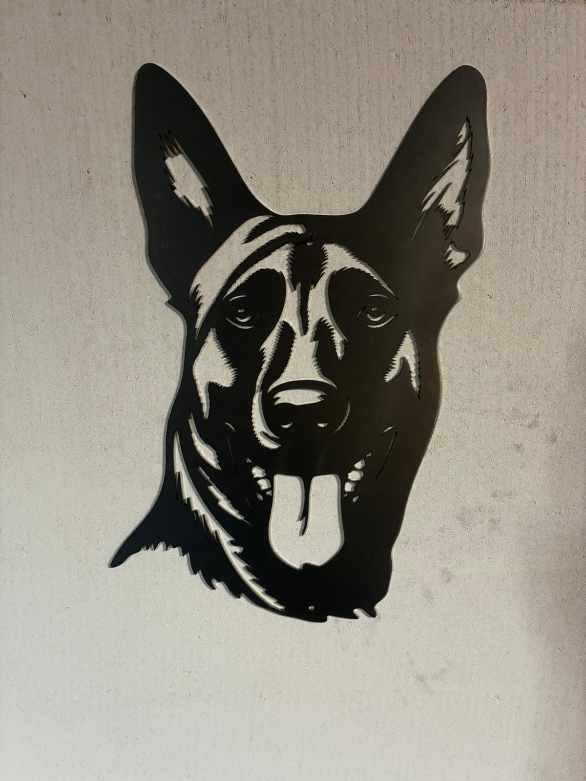 Mechelse herder (Mechelaar)