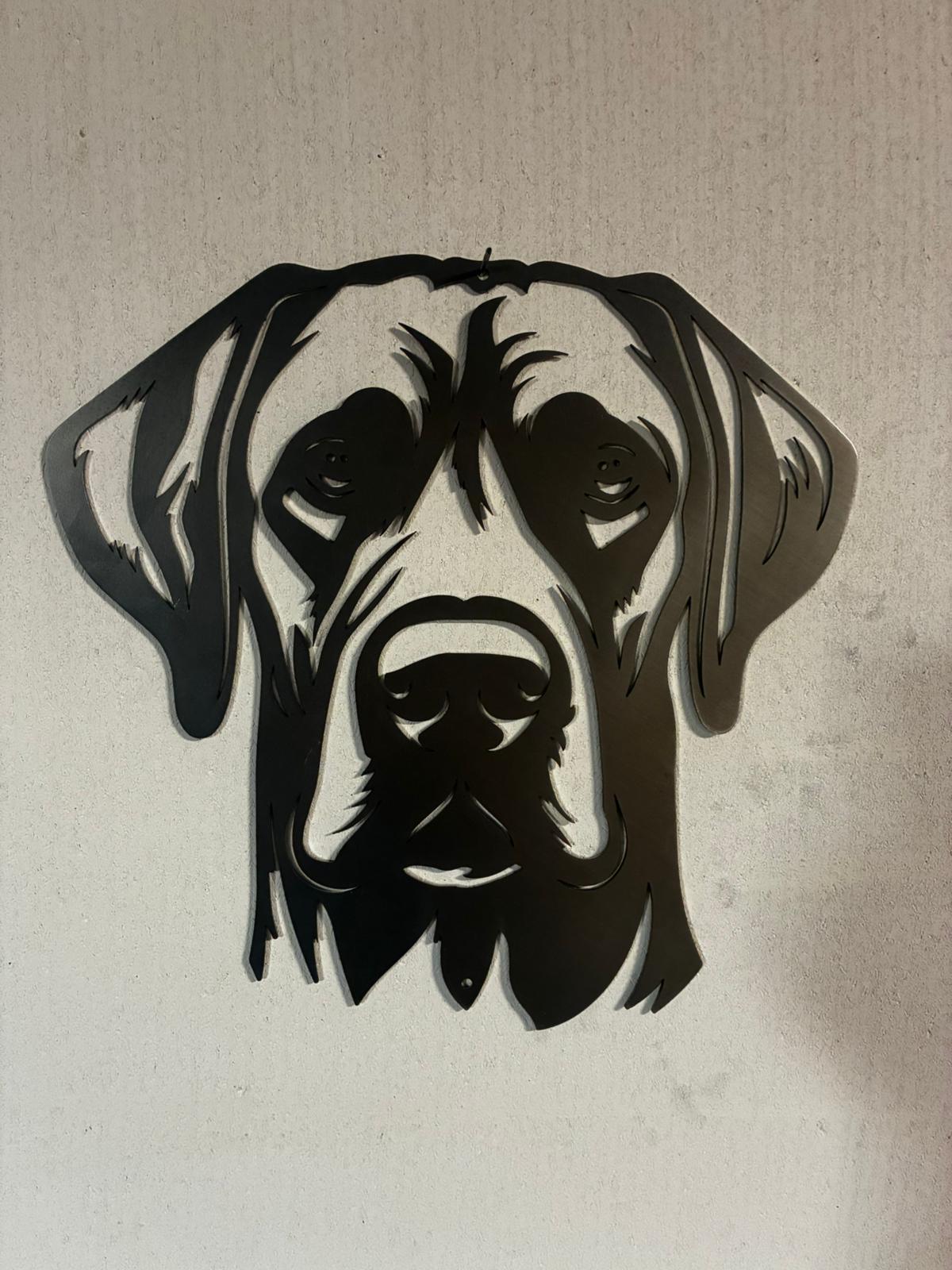 Rhodesian Ridgeback