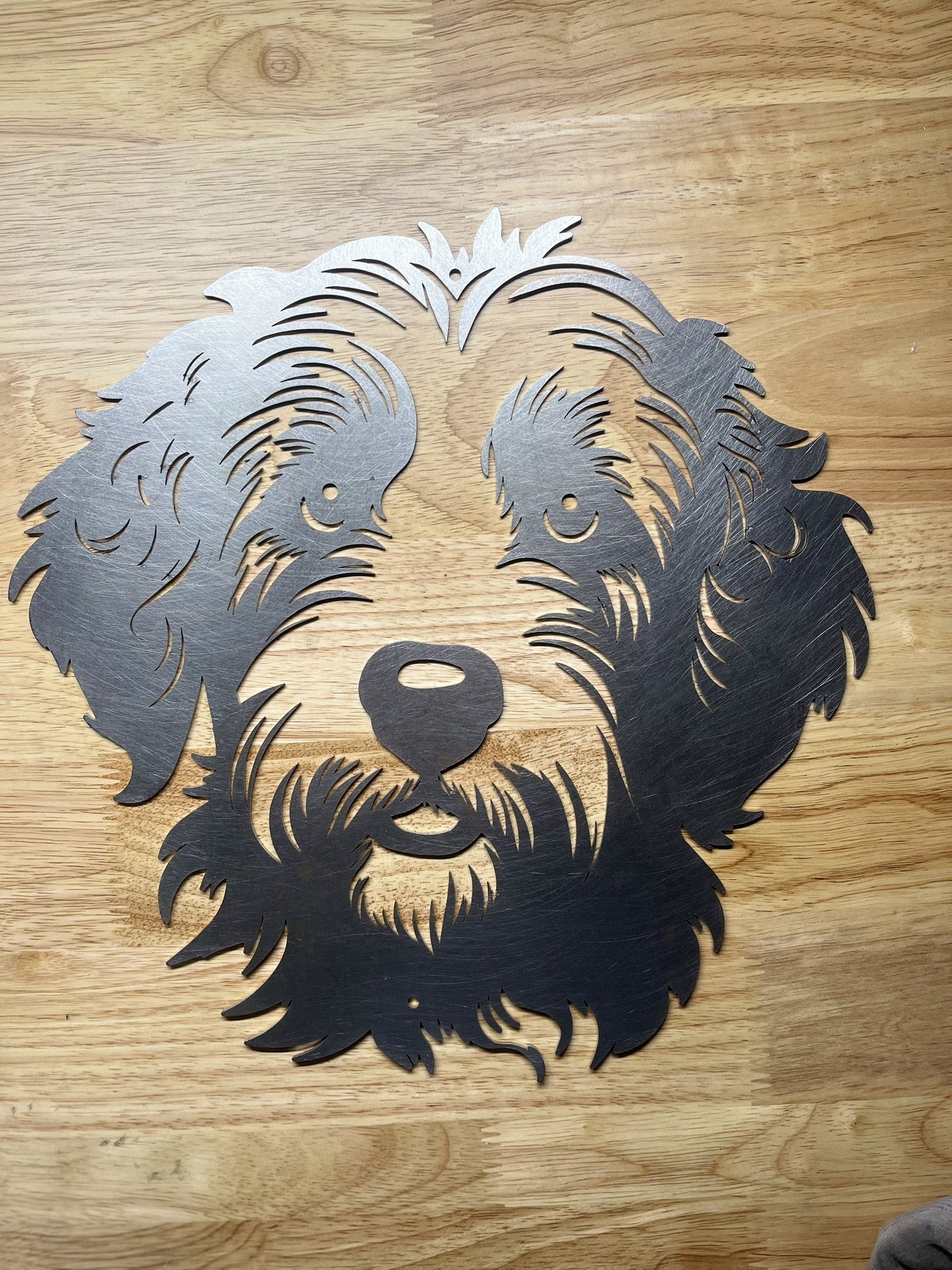 Labradoodle