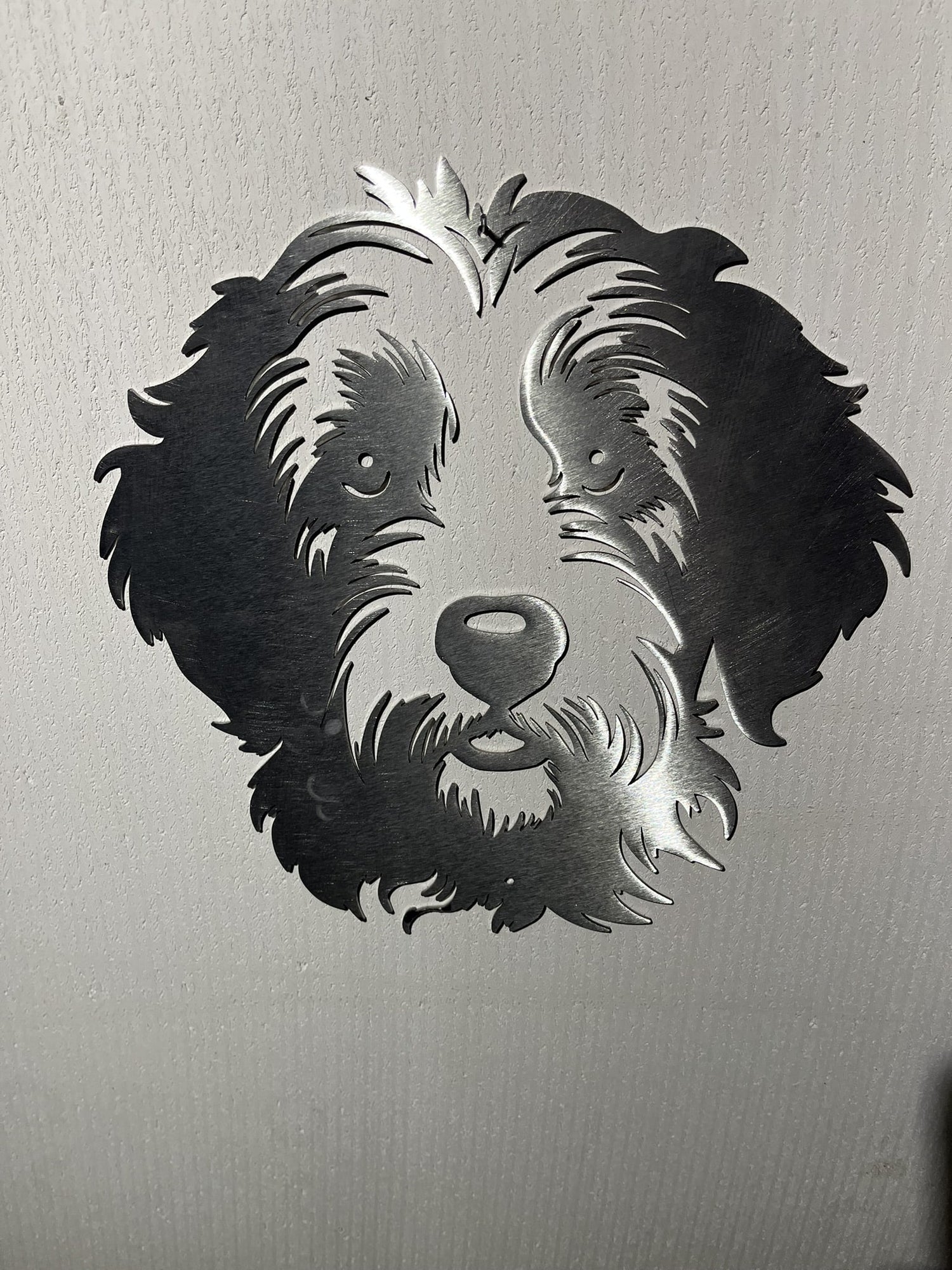 Labradoodle