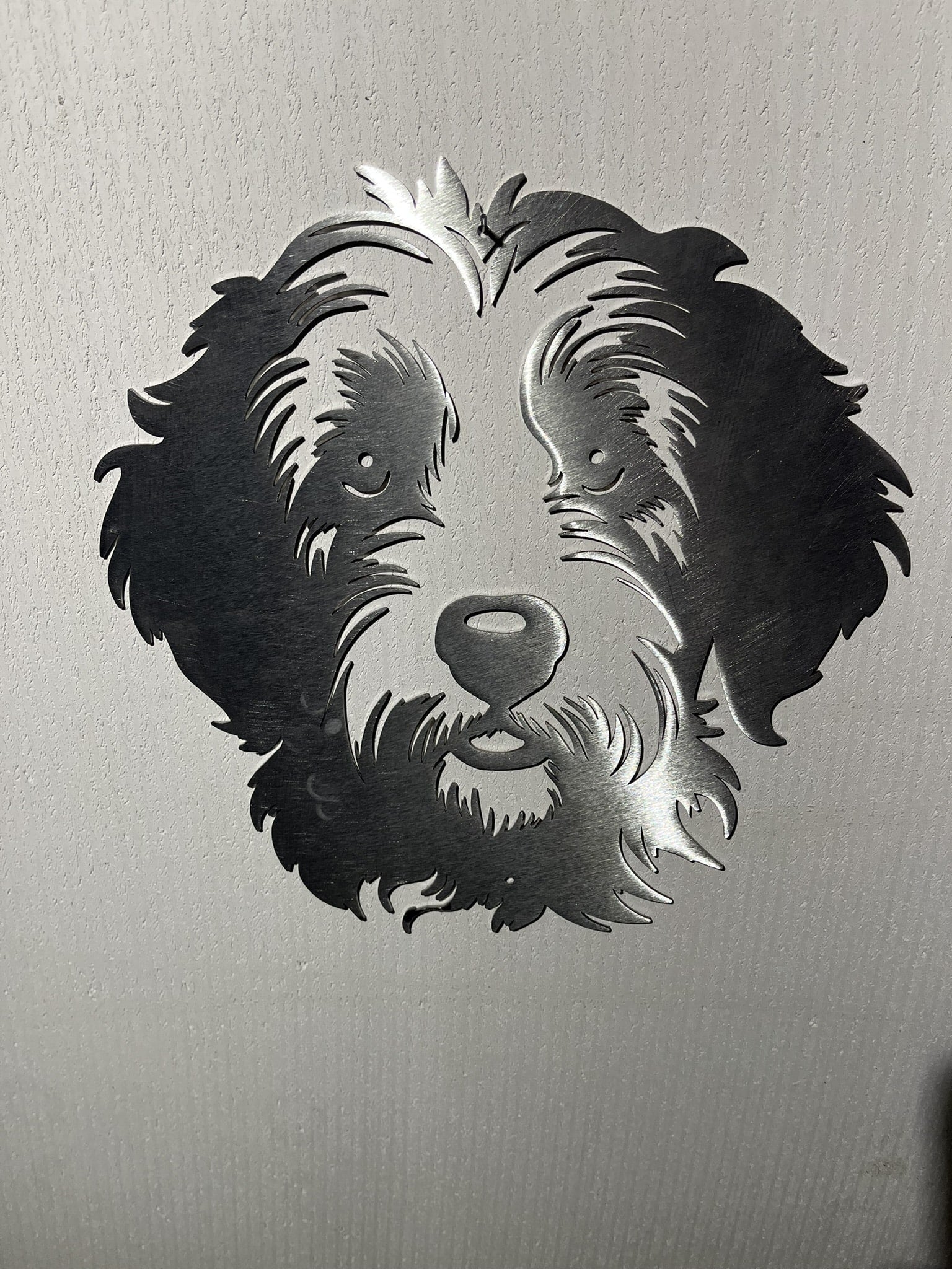 Labradoodle