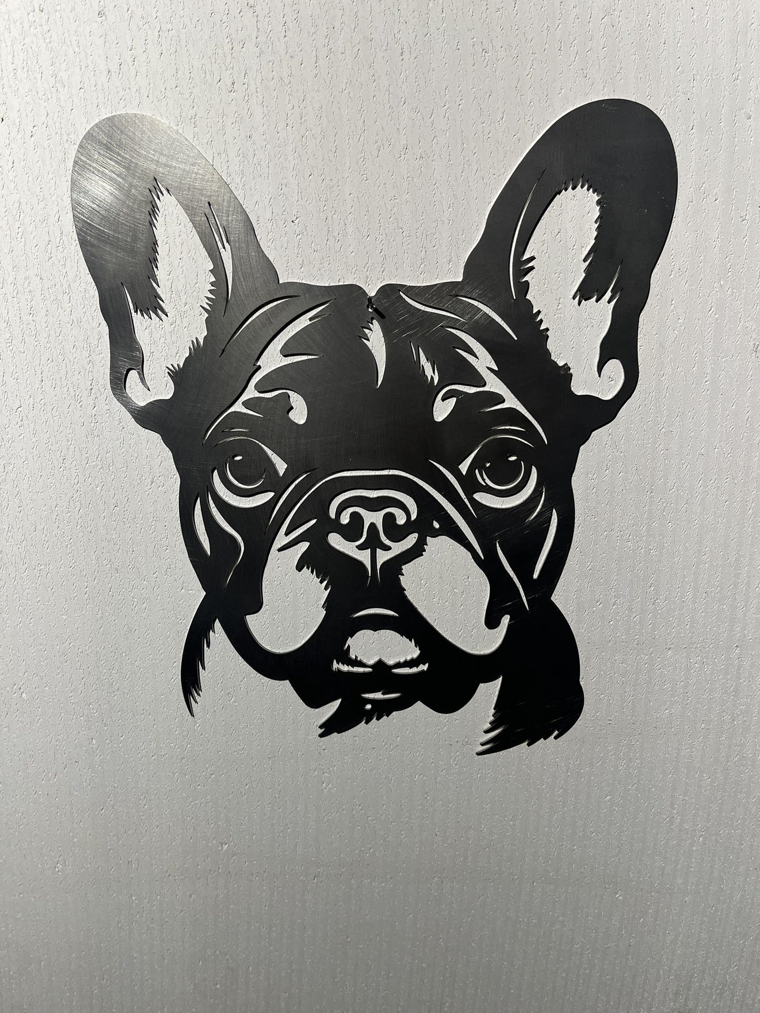 Franse Bulldog