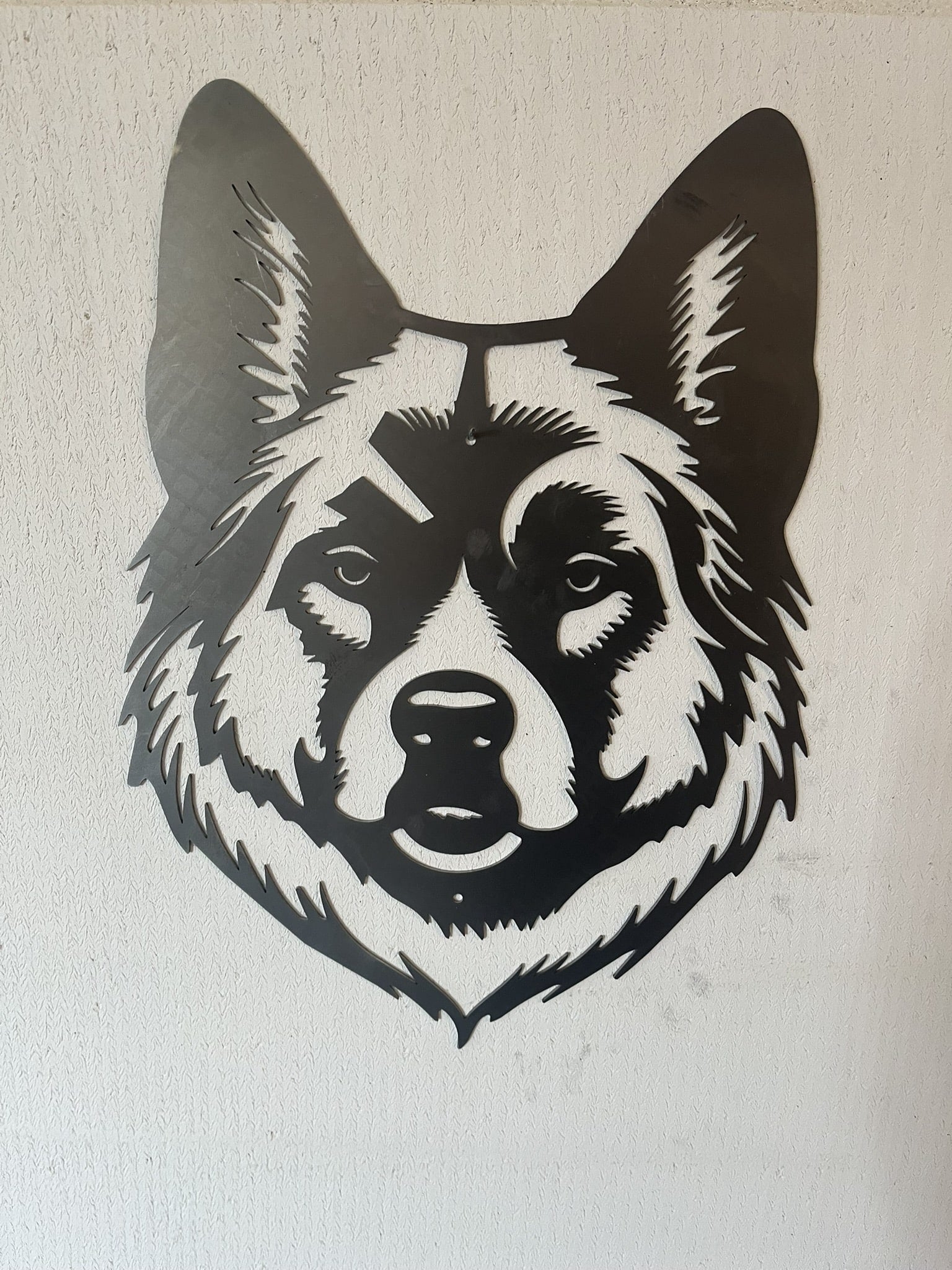 Akita