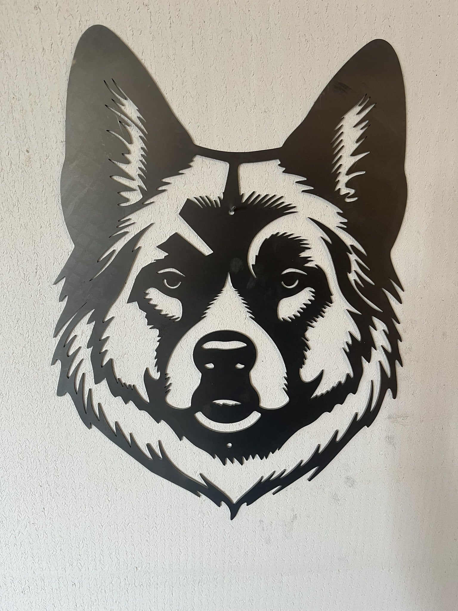 Akita
