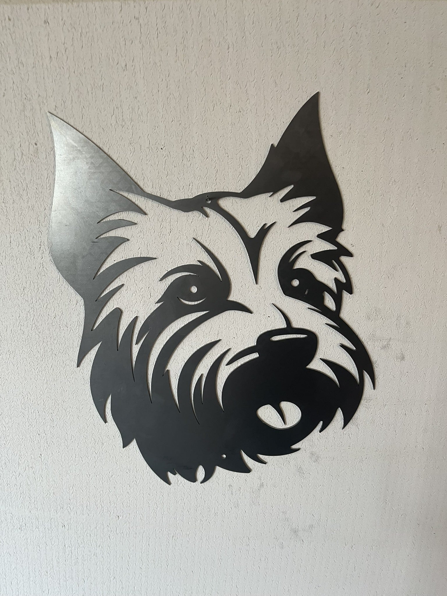 Westie