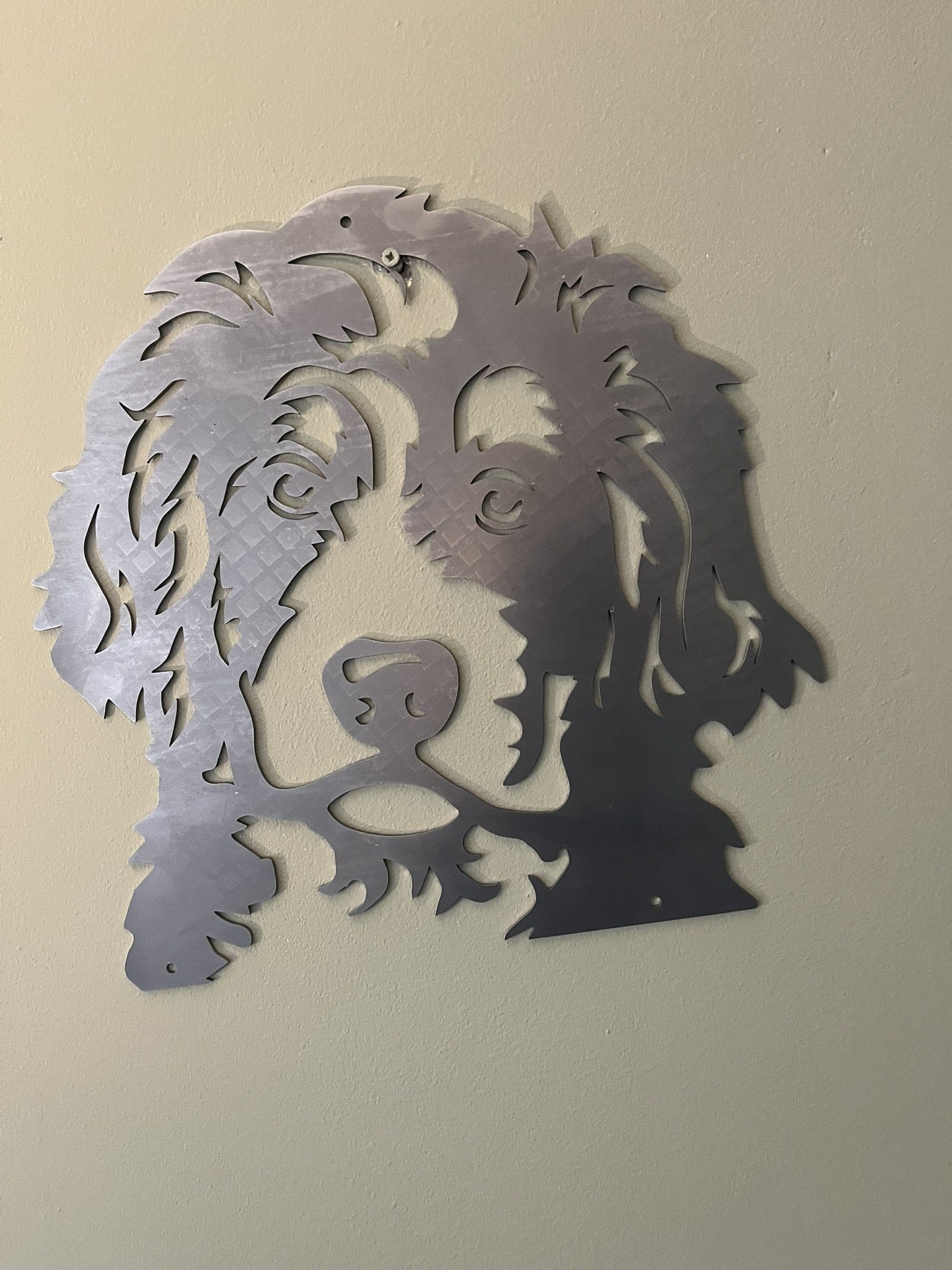 Bernerdoodle