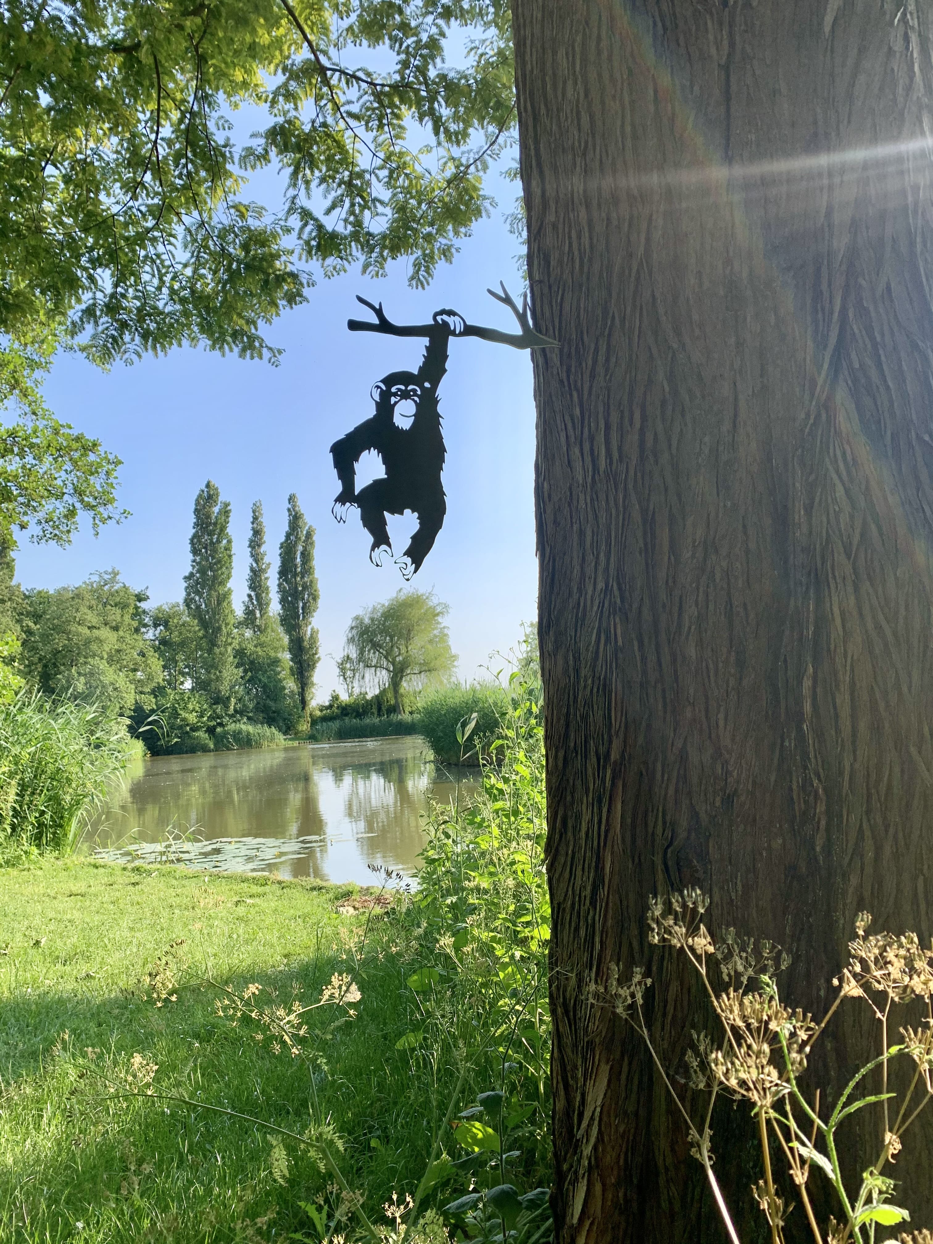 The Monkey