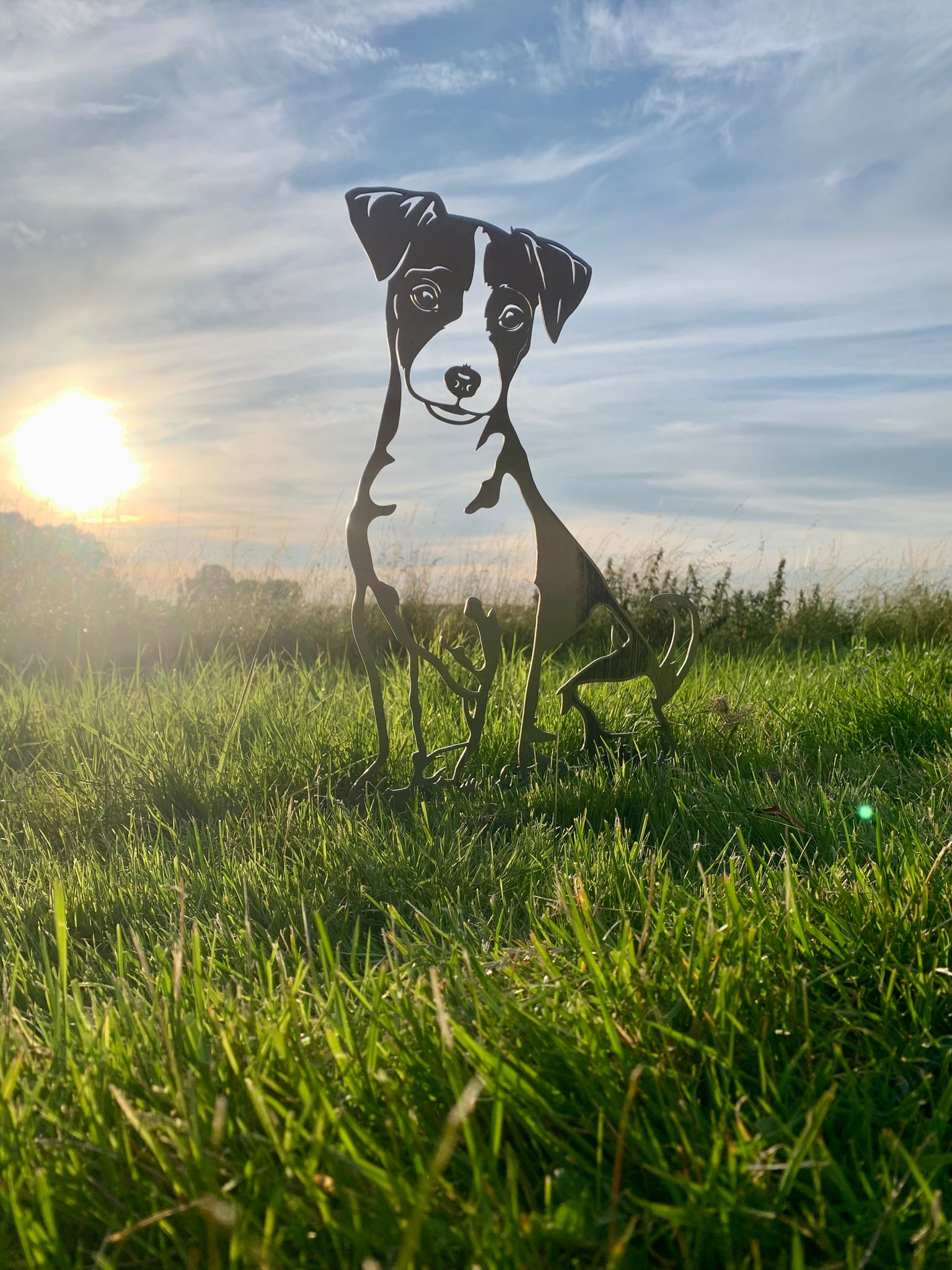 Jack Russell - Levensecht