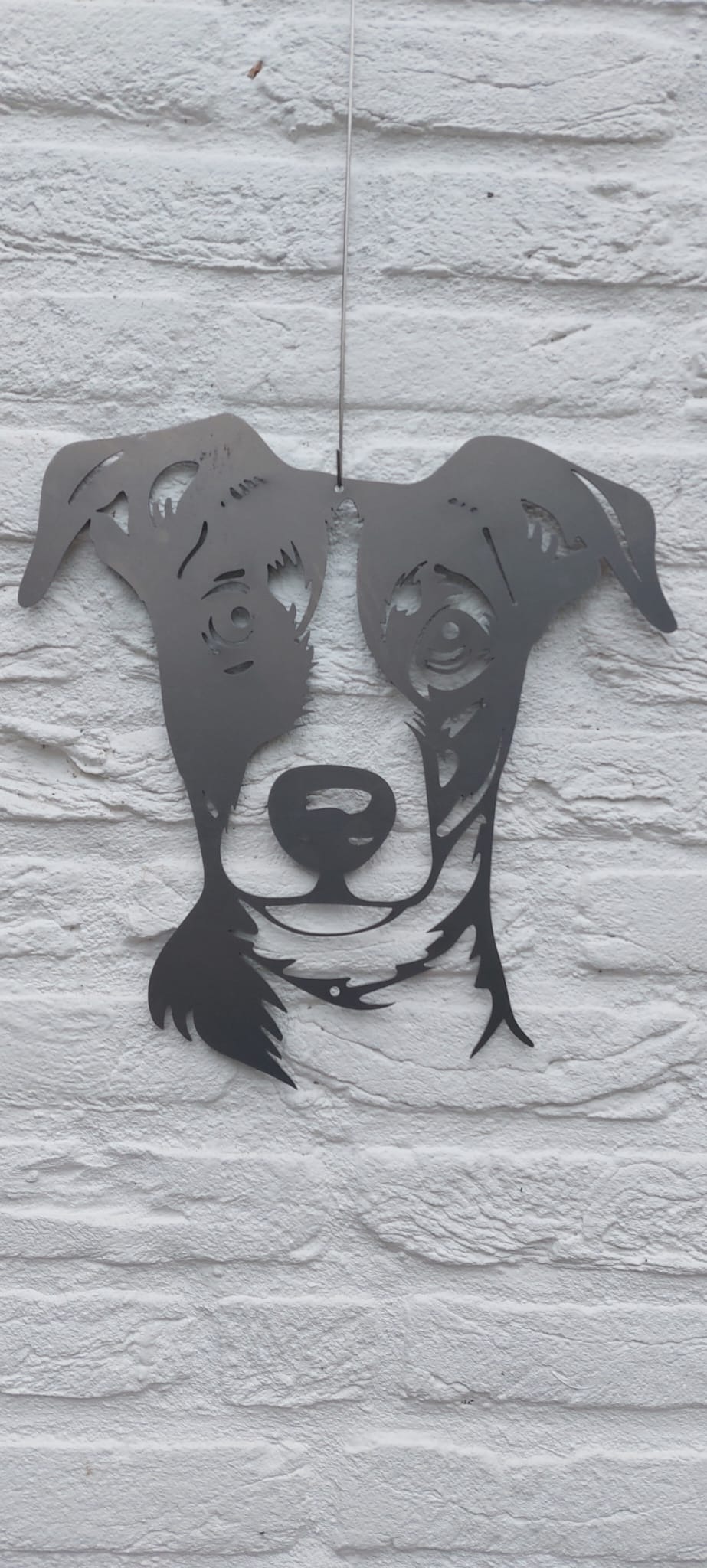 The Jack Russel