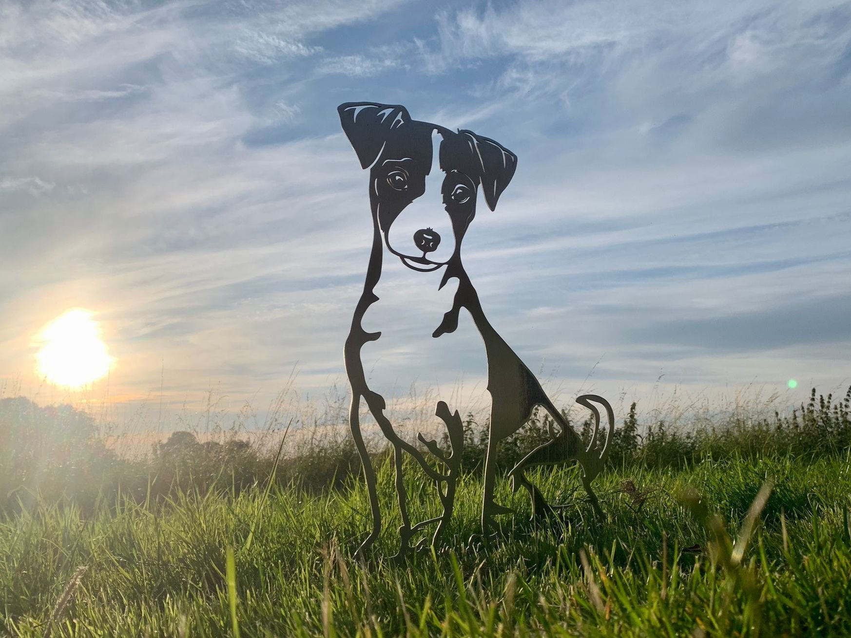 Jack Russell - Levensecht
