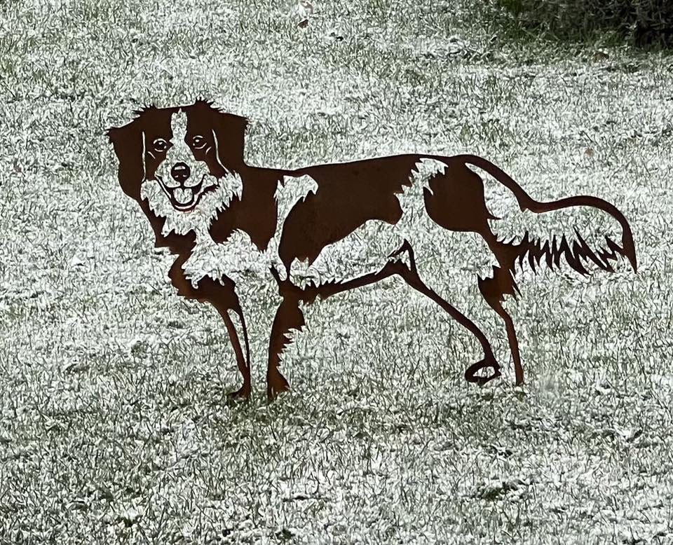 The Kooikerhondje