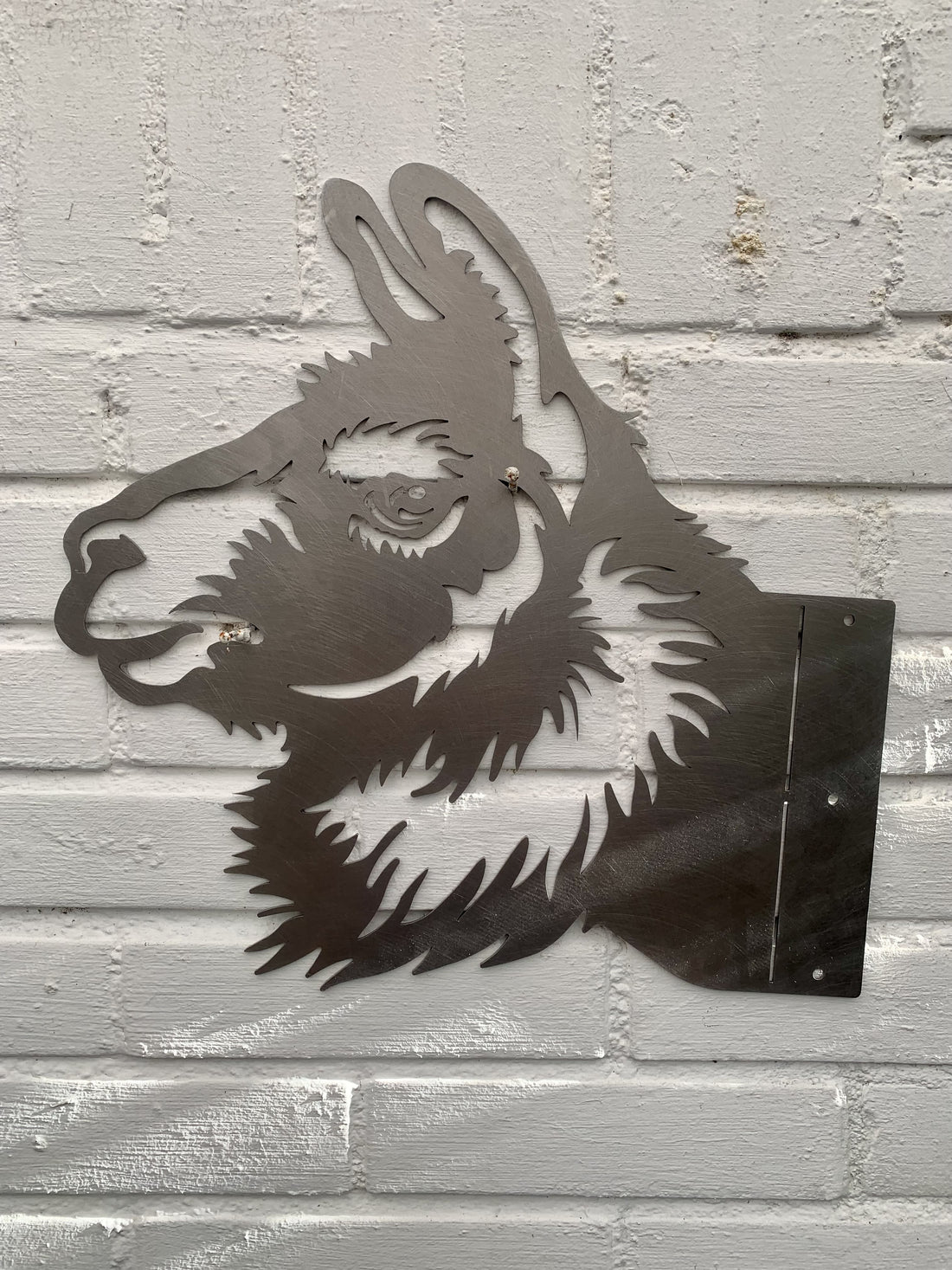 Alpaca