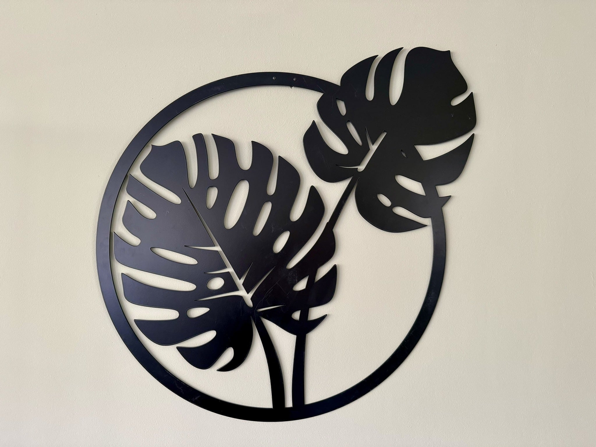The monstera