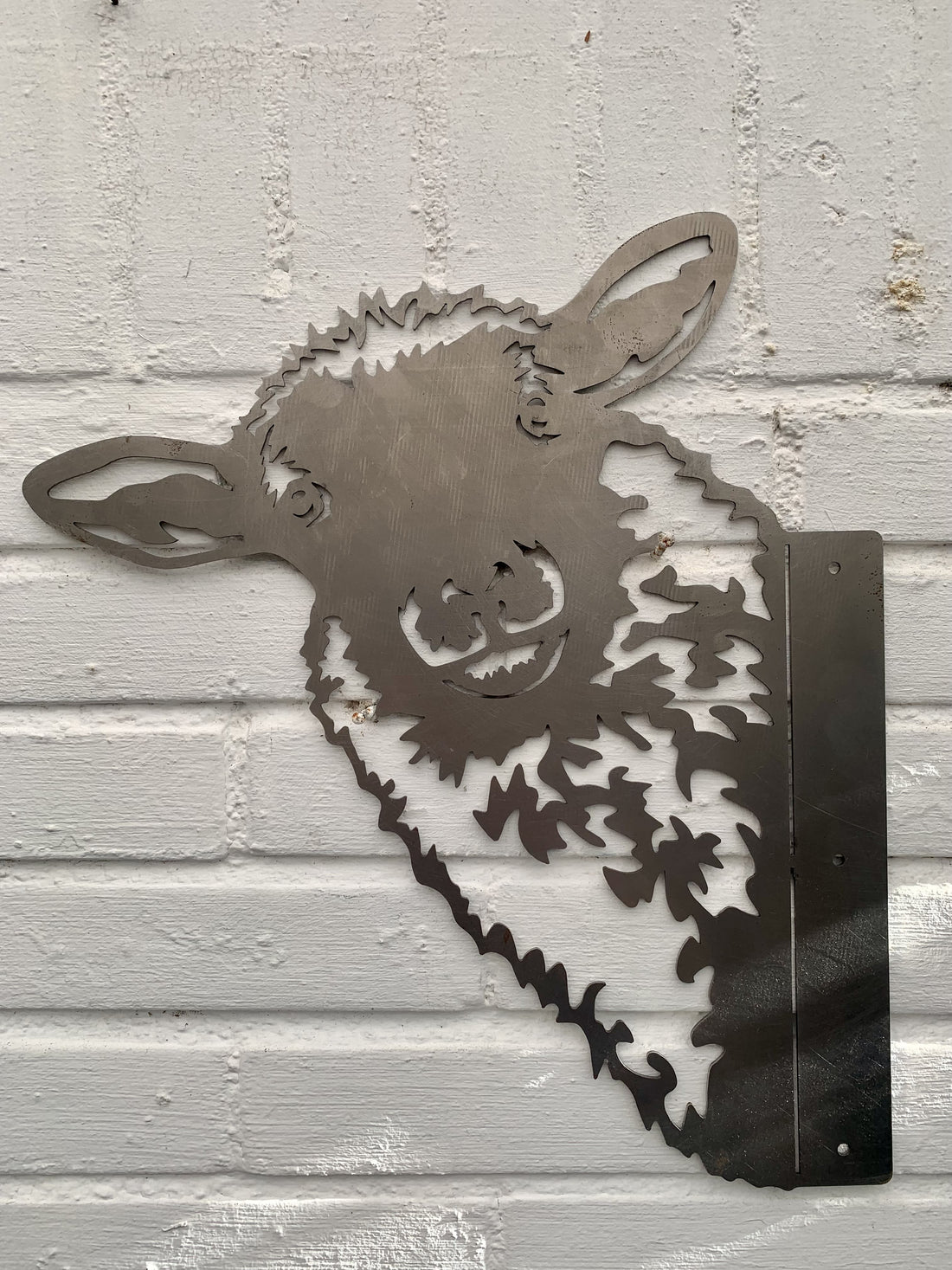 Schaap