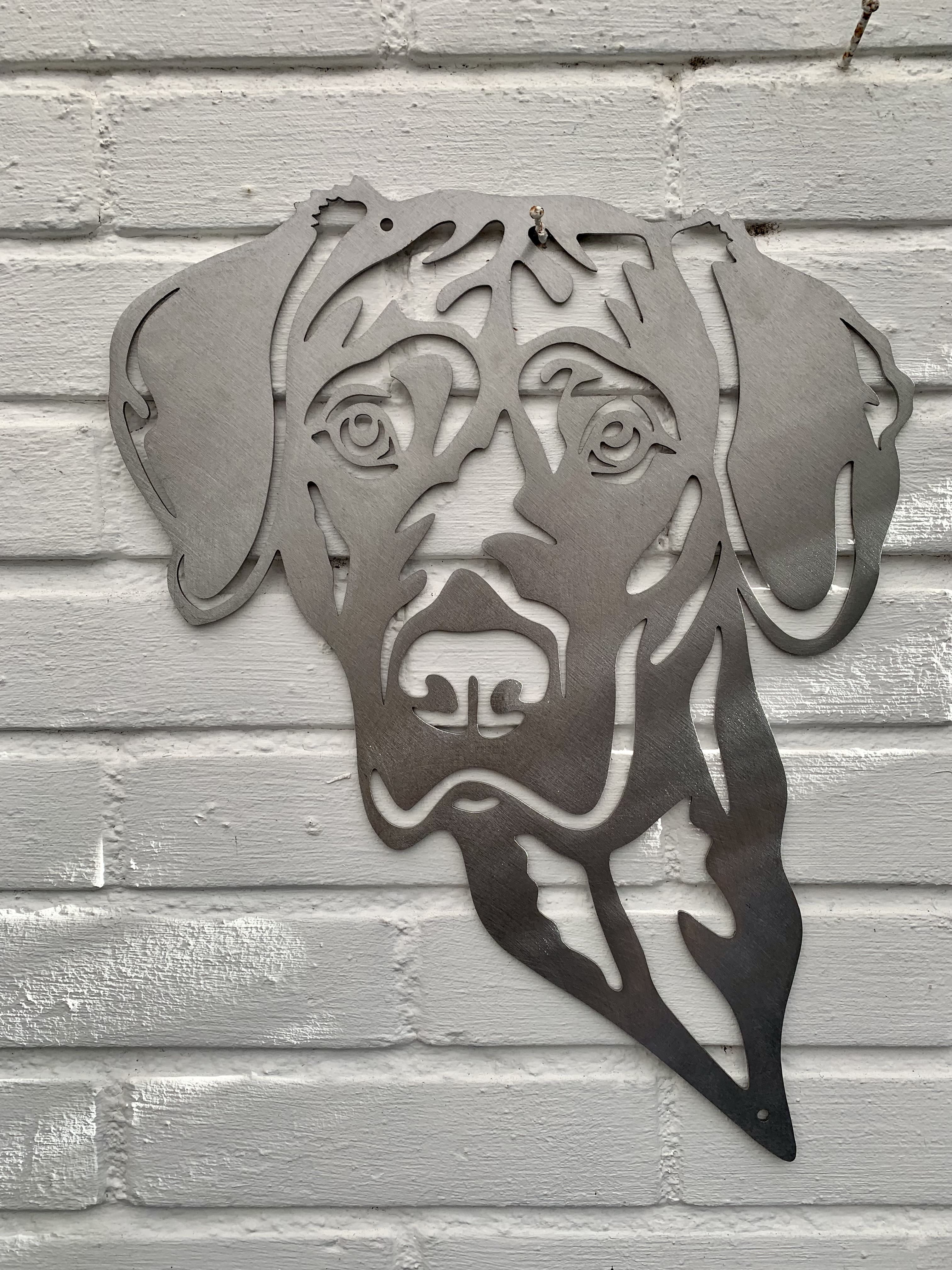 Vizsla