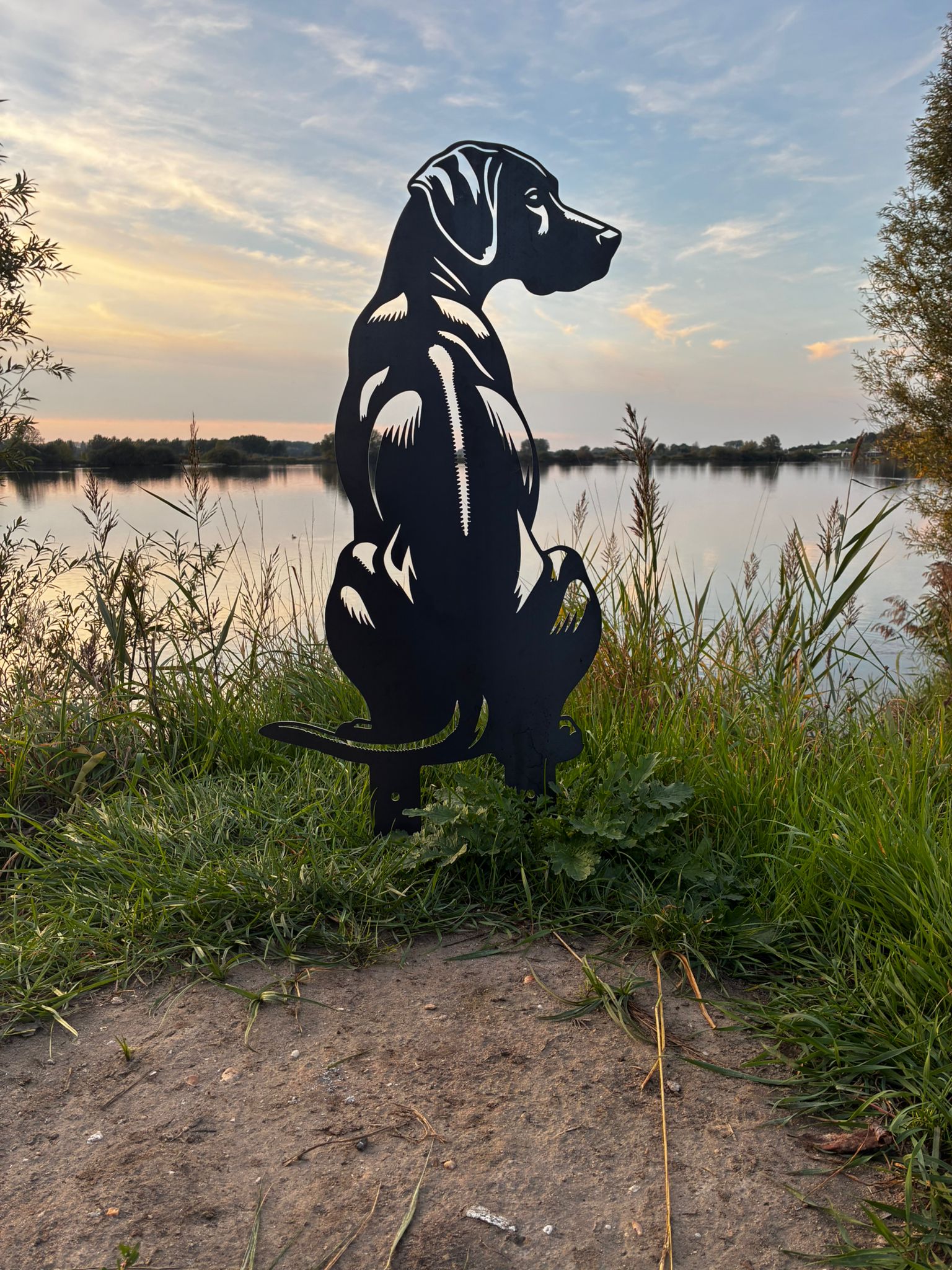 Rhodesian Ridgeback- Levensecht