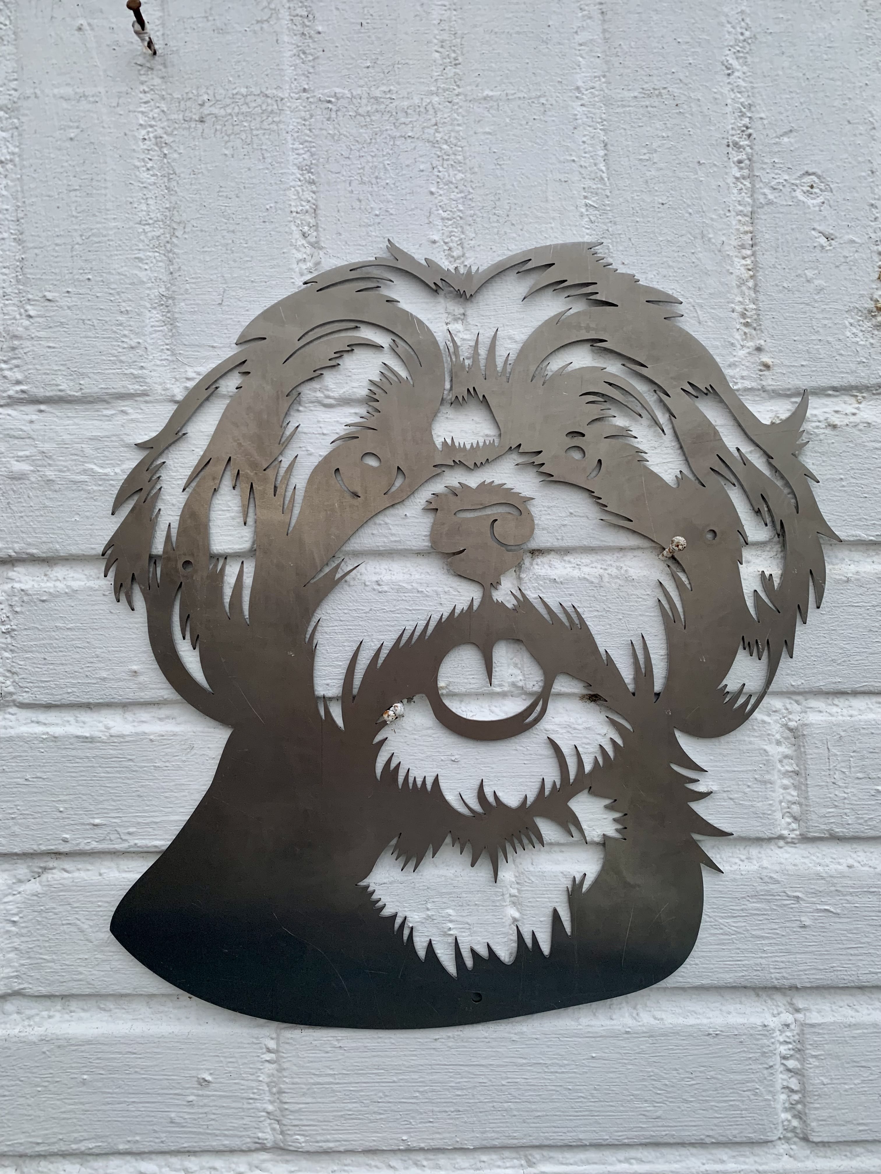 Boomer / Shih Tzu