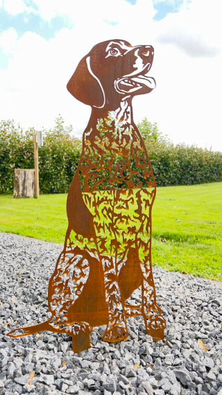 The German Shorthaired Pointer