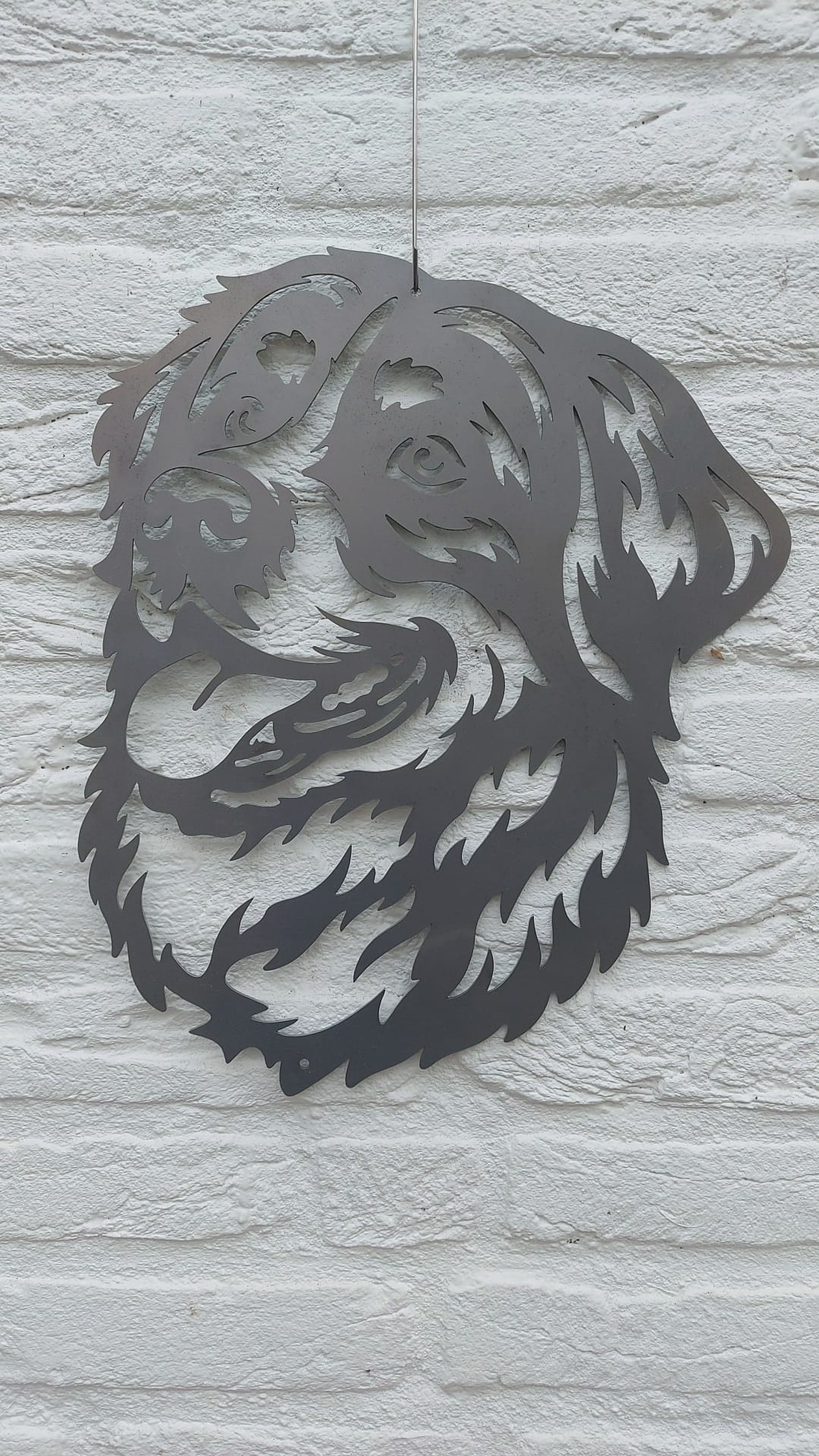 Berner Sennen 2