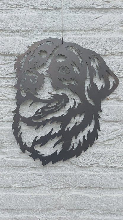 Berner Sennen 2