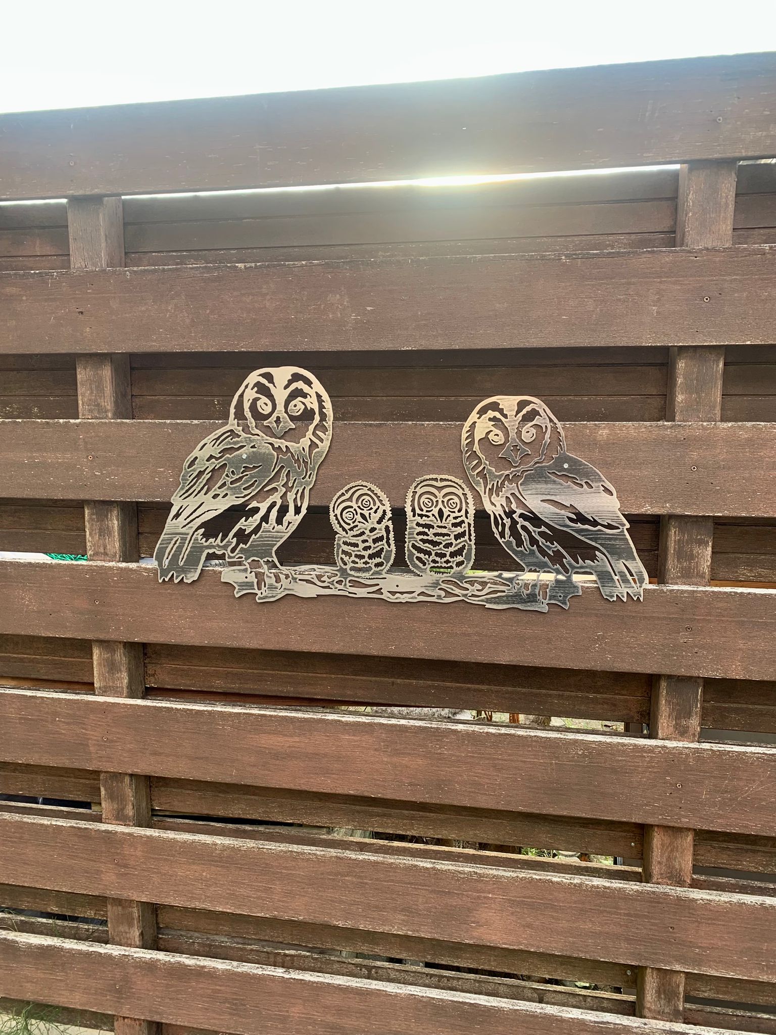 The Eagle Owl family