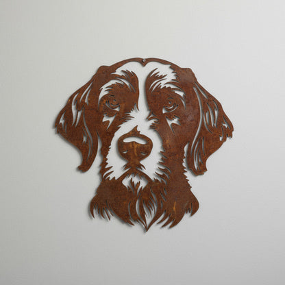 Duitse Staande Langhaar