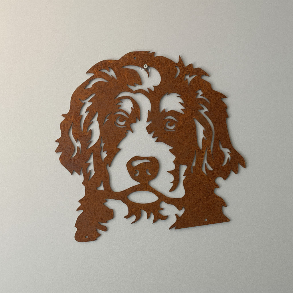 Bernerdoodle