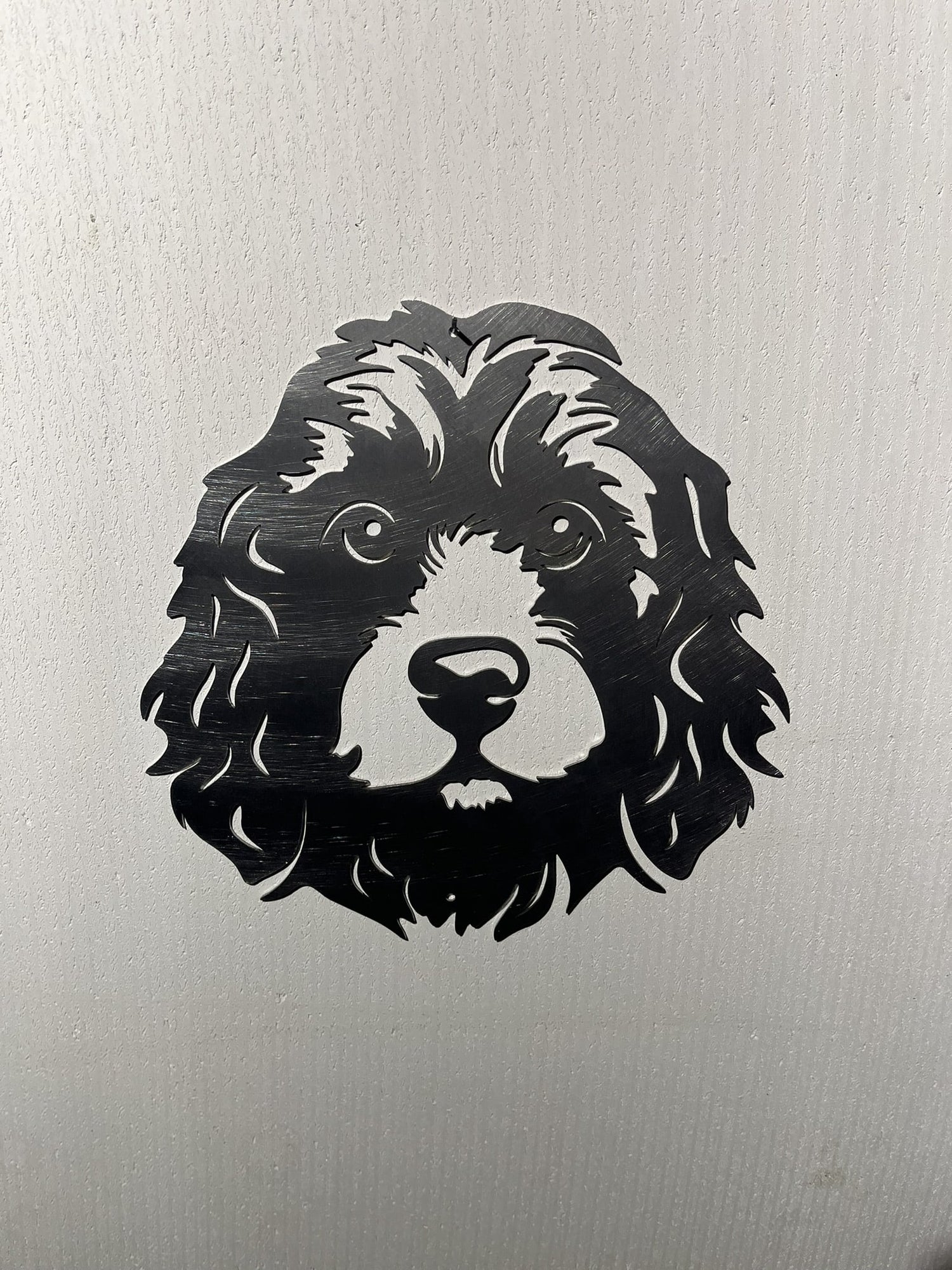 De Cockapoo