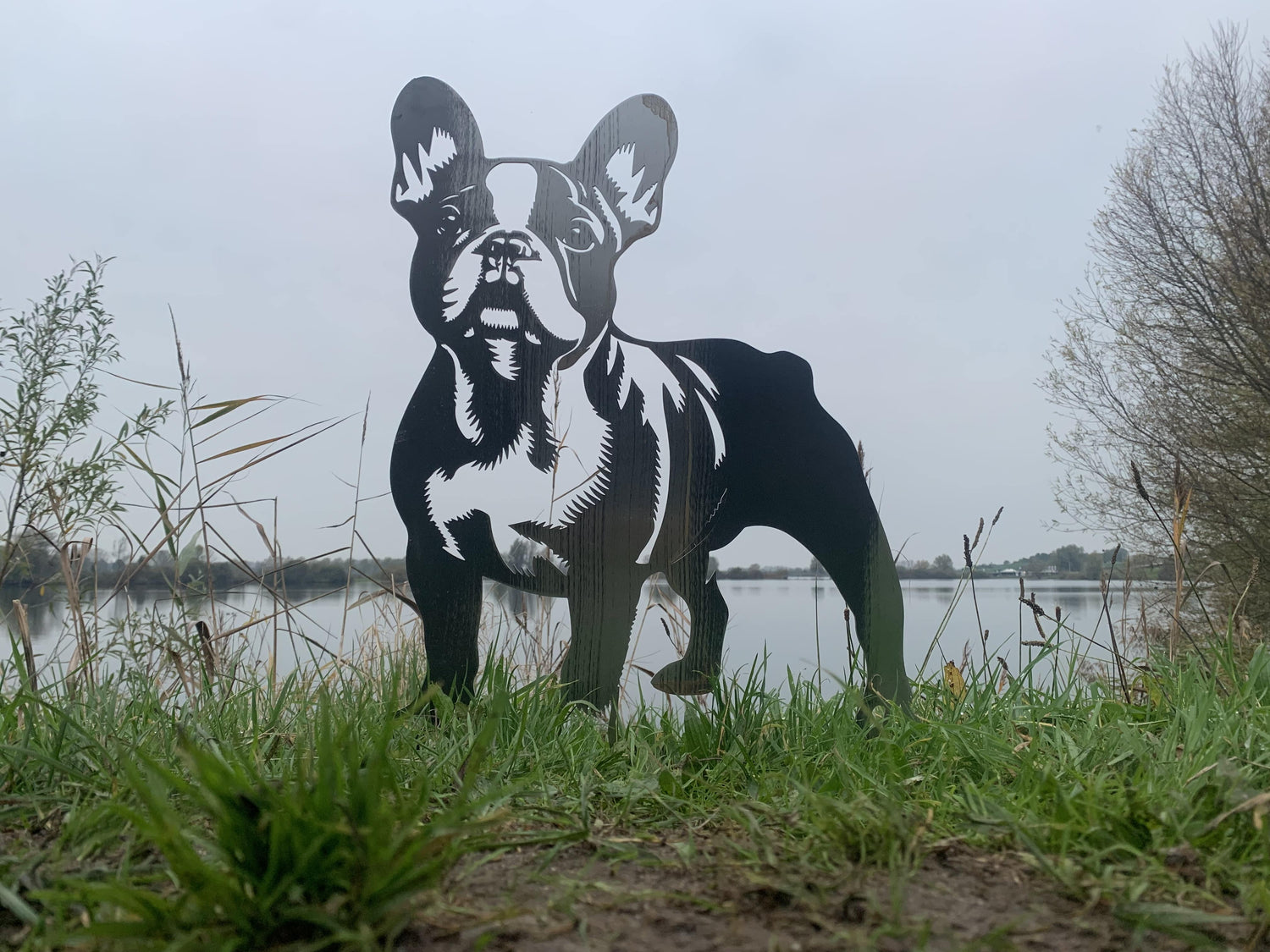 De Franse bulldog - Levensecht