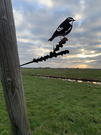 Actiepakket 2 - Metalen vogels