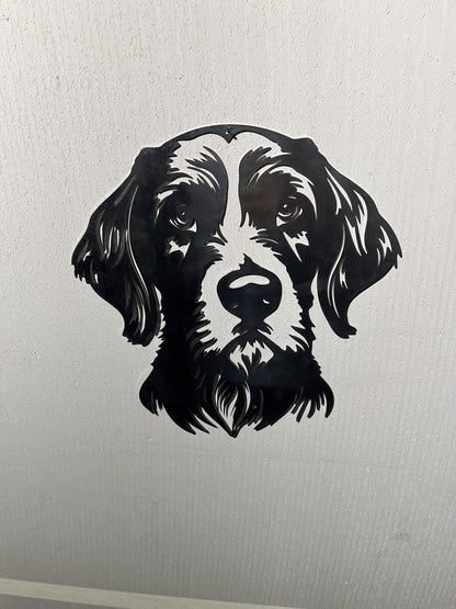 Duitse Staande Langhaar