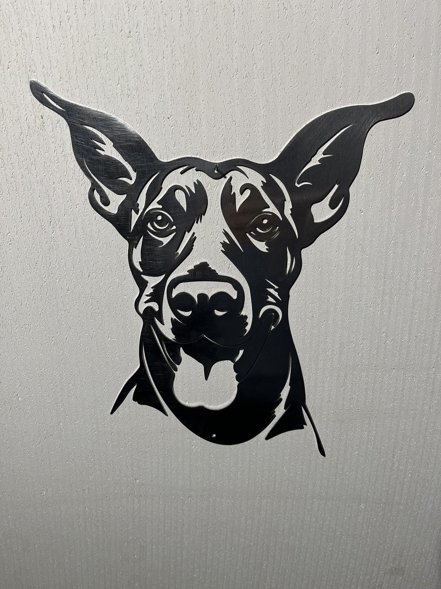 Dobermann