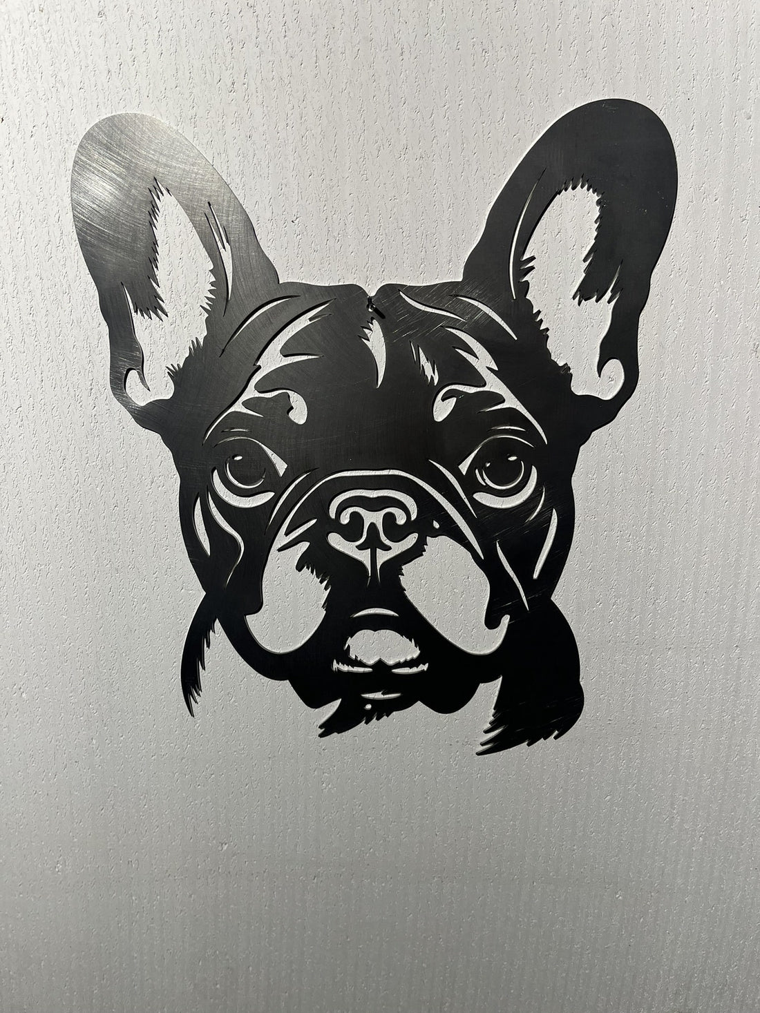 Die französische Bulldogge