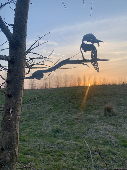 Actiepakket 2 - Metalen vogels