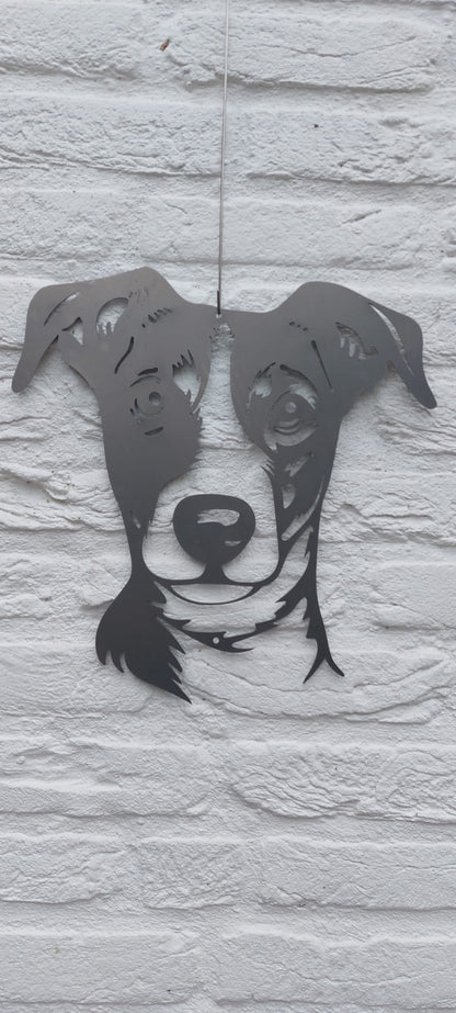 The Jack Russel