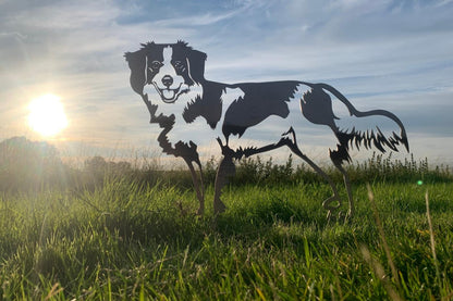 The Kooikerhondje