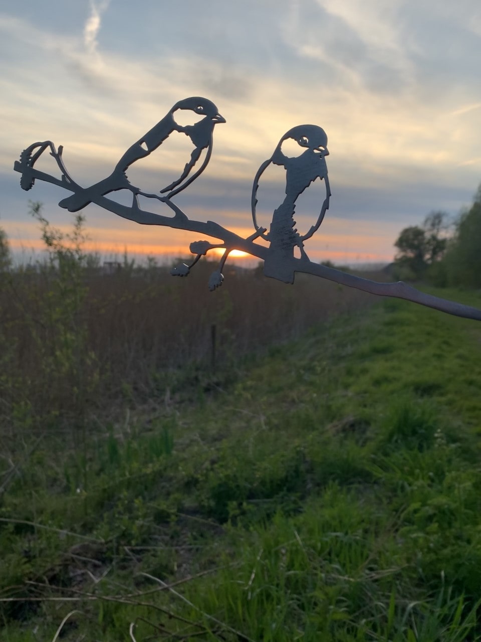 Actiepakket 1 - Metalen vogels