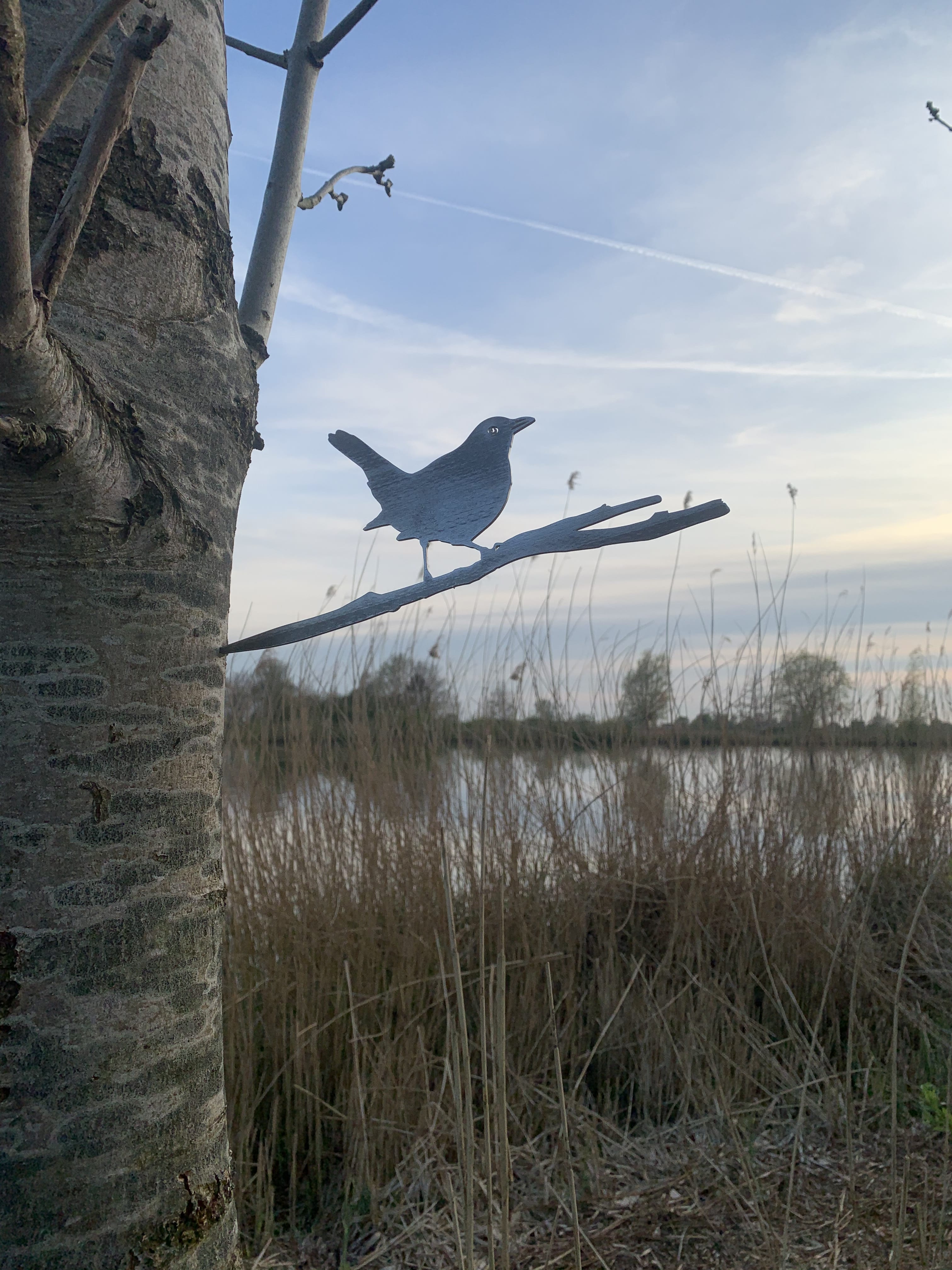 Actiepakket 2 - Metalen vogels