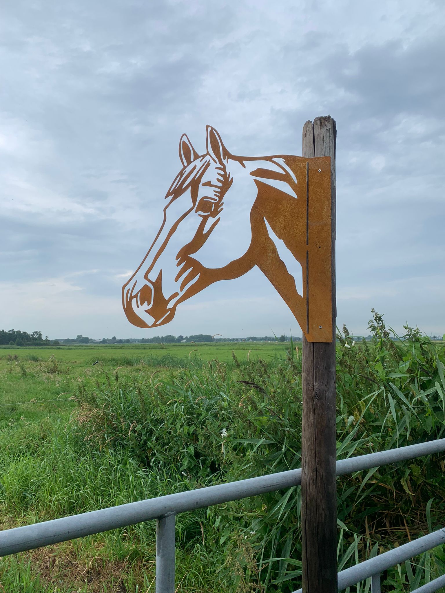 Het paard - Licht beschadigd