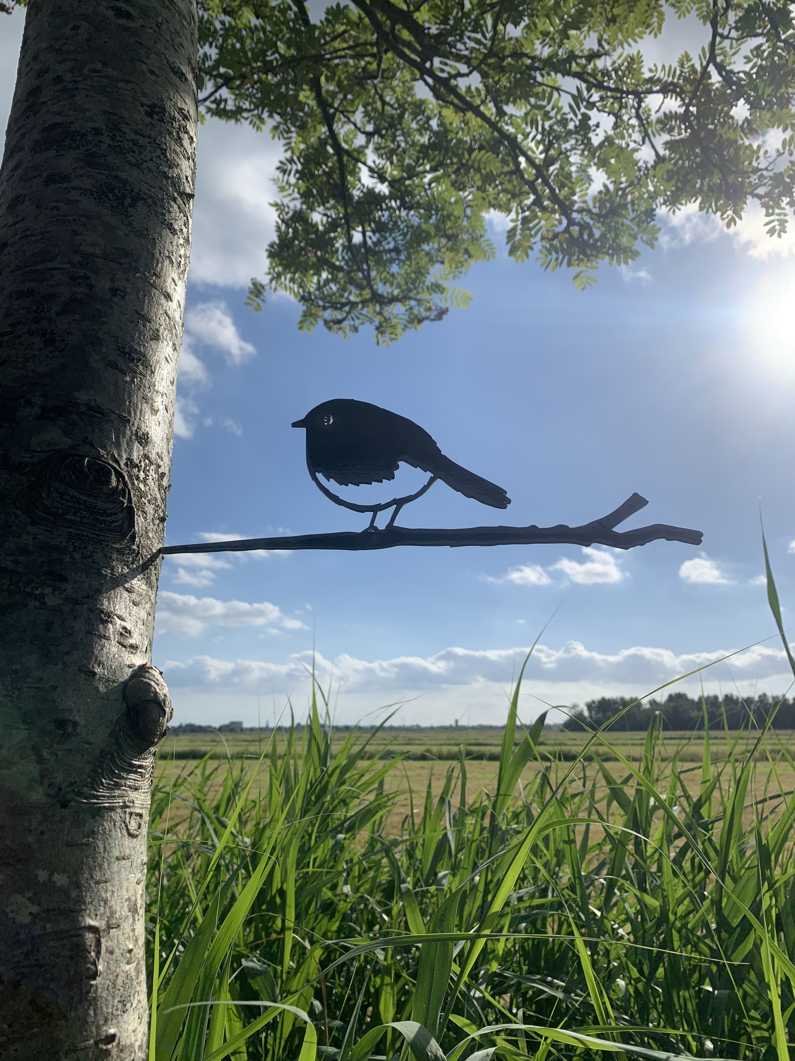 Actiepakket 1 - Metalen vogels