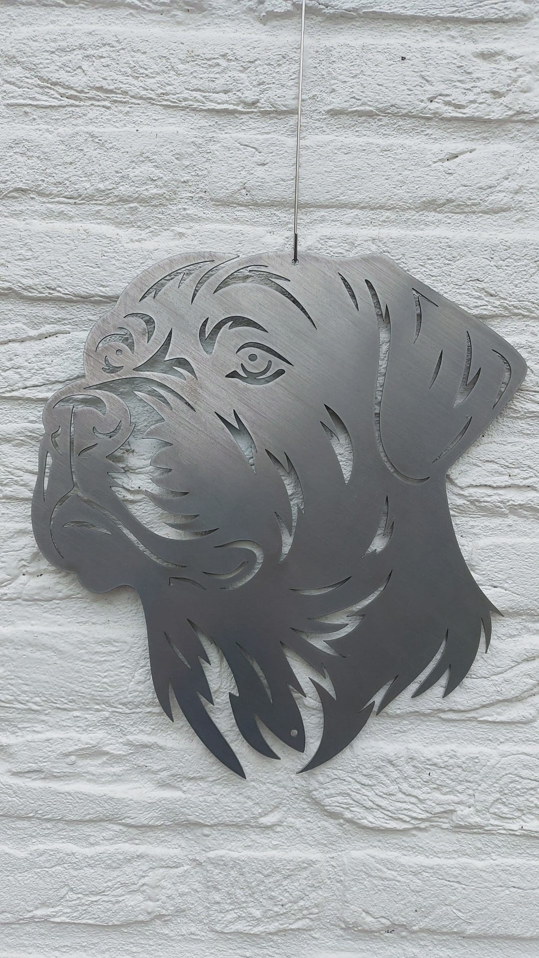 Rottweiler 2