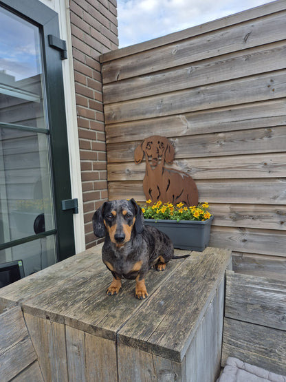 The Dachshund - Silhouette