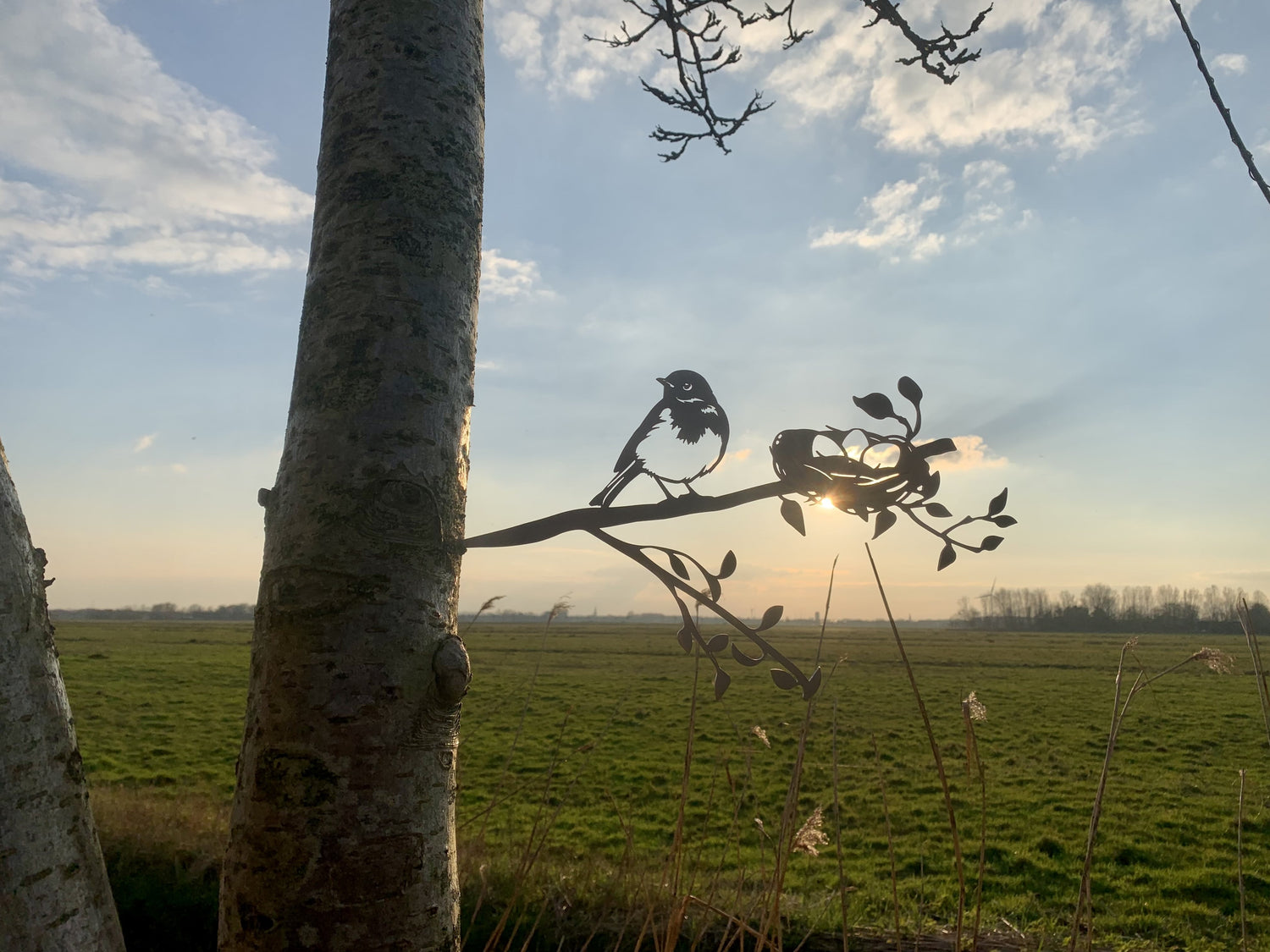 Vogel met nestje