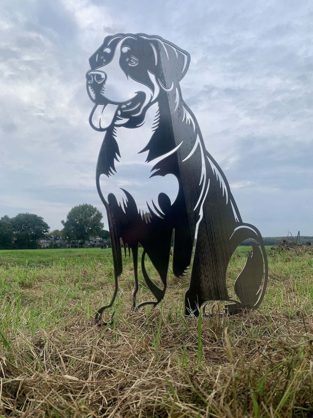 De grote zwitserse sennehond - Levensecht